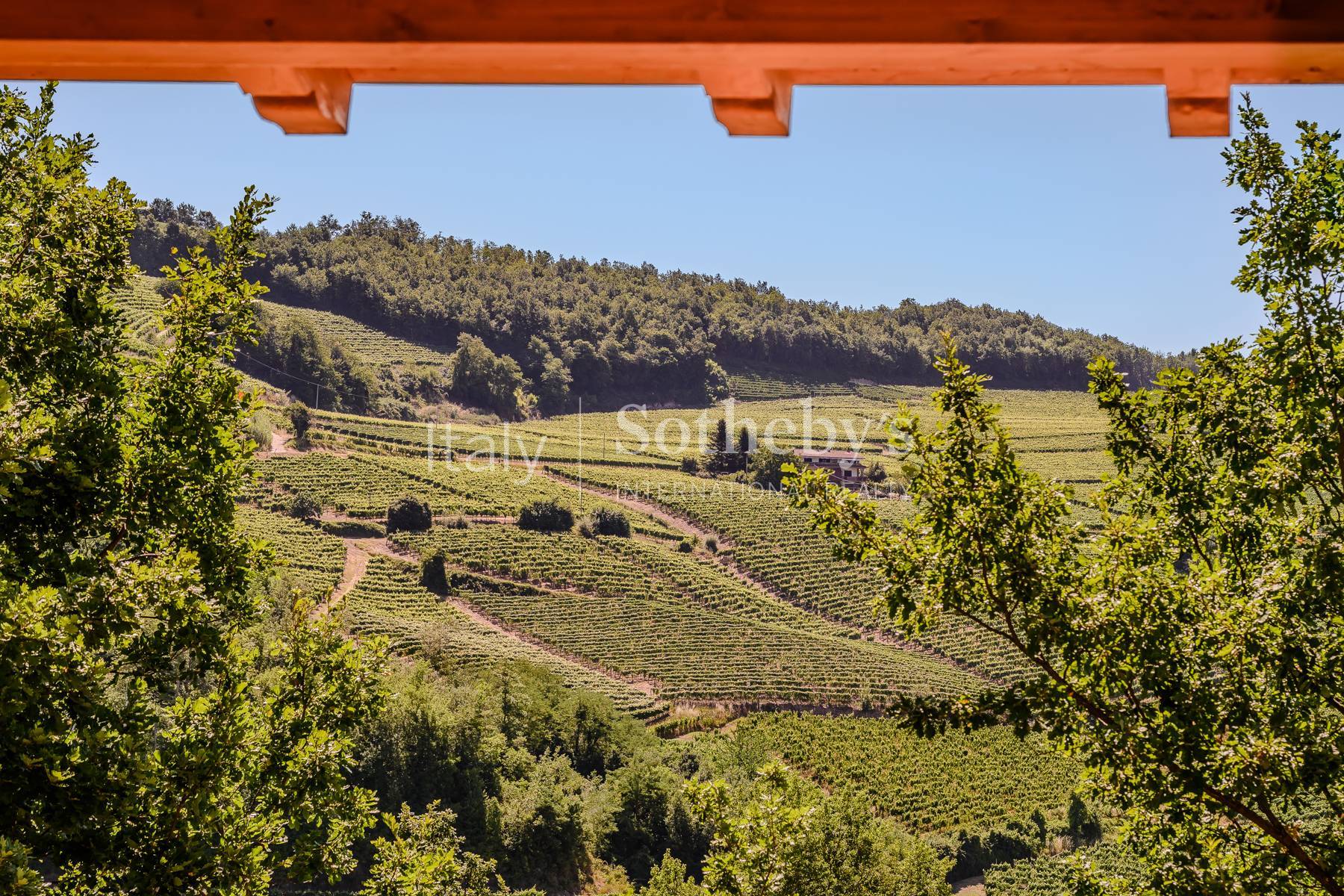  Charming country house with swimming pool in the Langhe - 物件實景