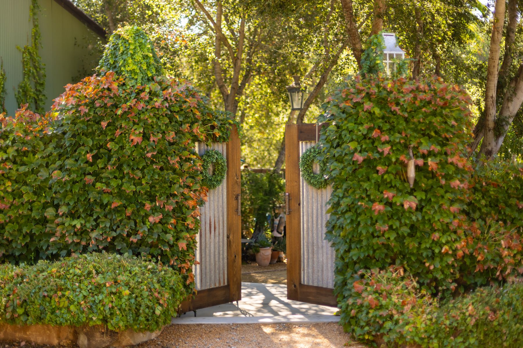  5 Acres Estate Adjacent to the Ojai Valley Inn & Spa  Rustic Bohemian Compound - 物件實景