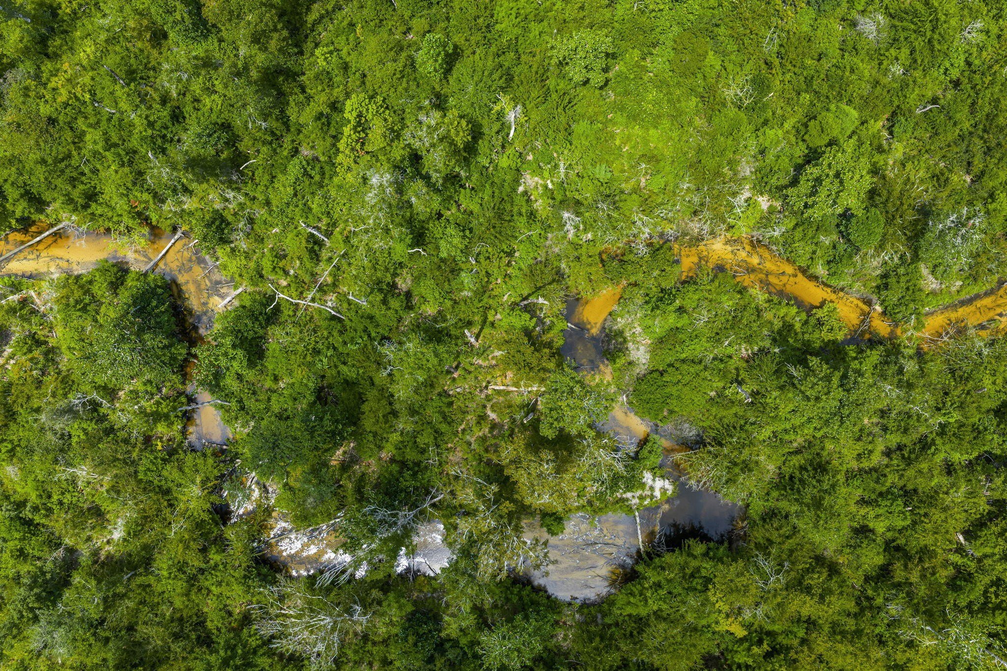 Youngstown, Florida, 32466, United States, 6 Bedrooms Bedrooms, ,6 BathroomsBathrooms,Residential,For Sale,1981831