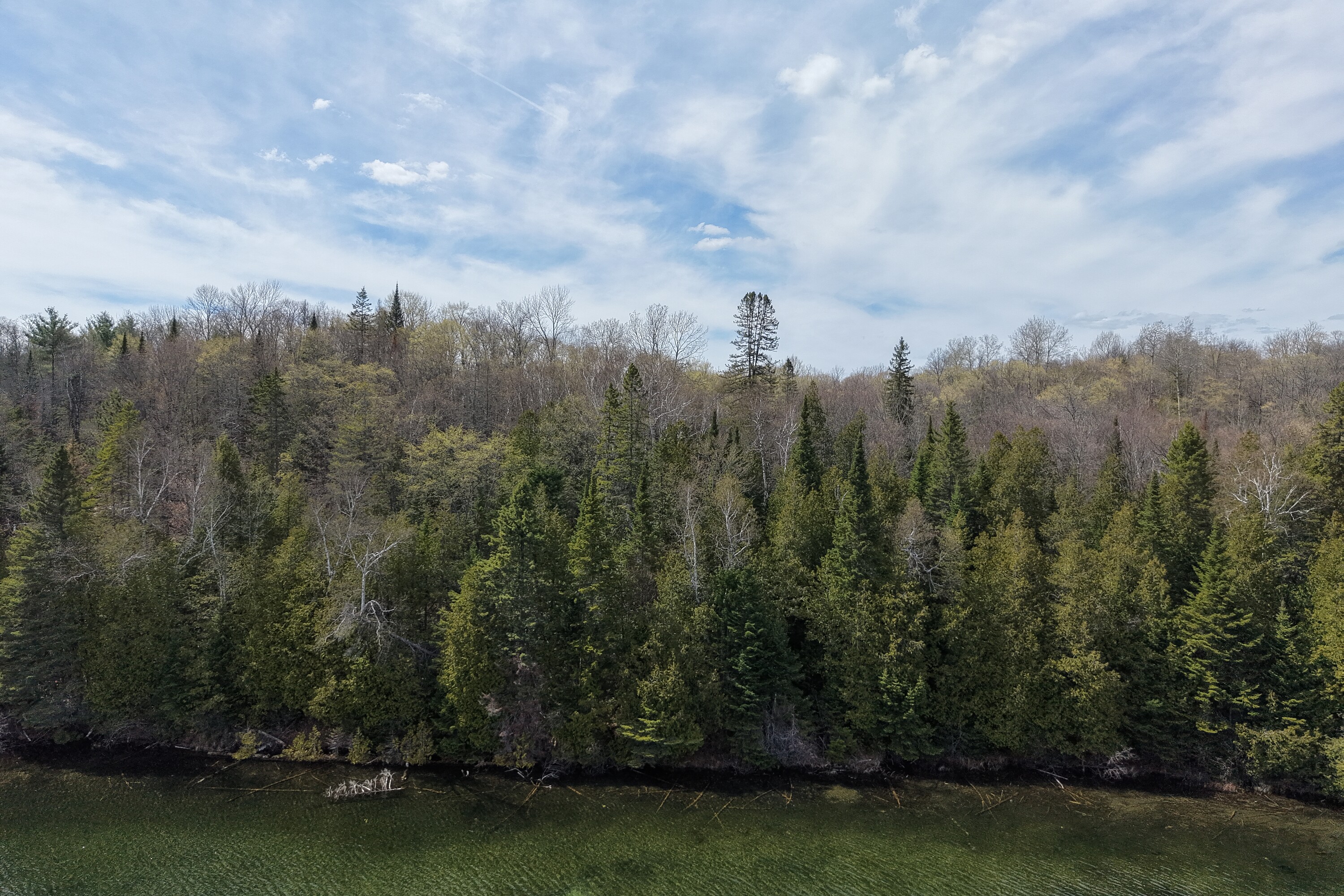  Charlotte Lake Waterfront - 物件實景