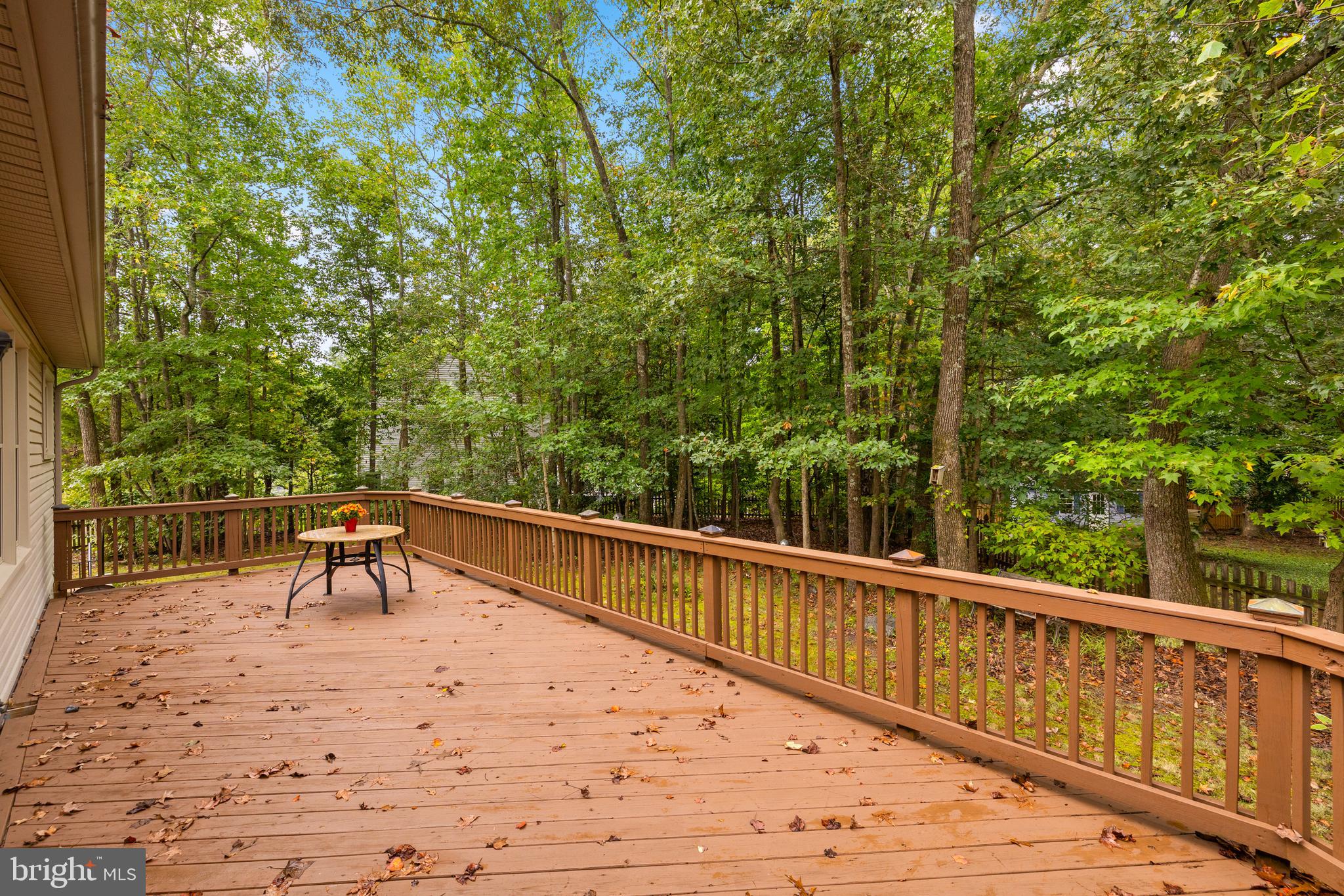 Fredericksburg, Virginia, 22407, United States, 4 Bedrooms Bedrooms, ,3 BathroomsBathrooms,Residential,For Sale,1981931