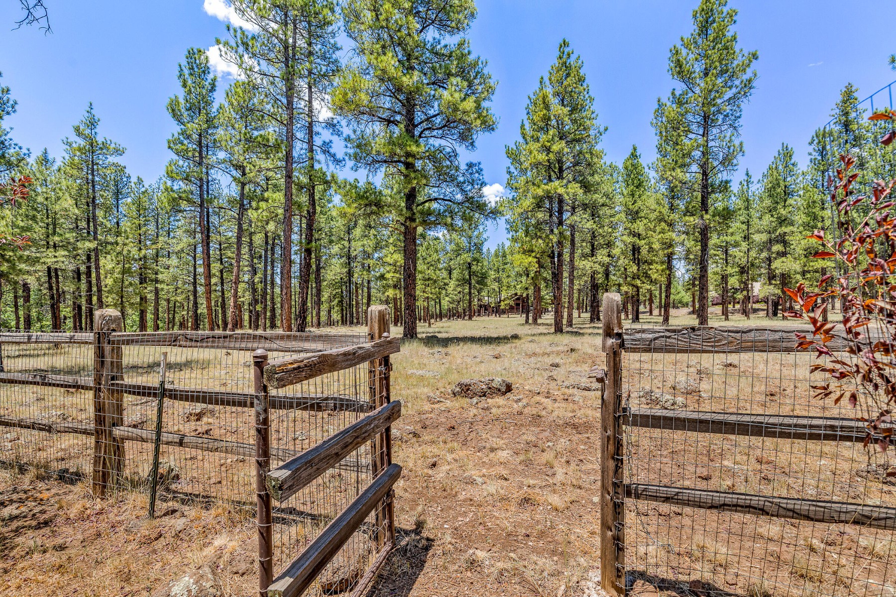  2901 Creekside Drive ¦ Flagstaff, AZ - 物件實景