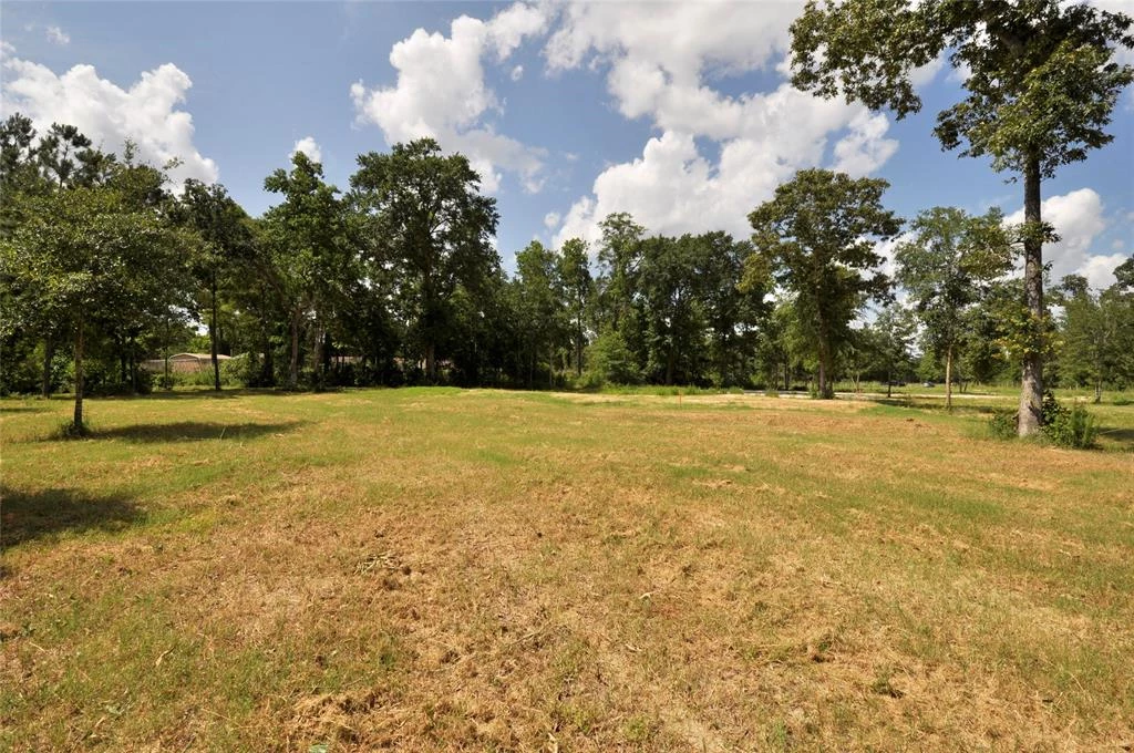 26150 Grand Pines Road, Magnolia, Texas, 77355, United States, ,Land,For Sale,26150 Grand Pines Road,1609479