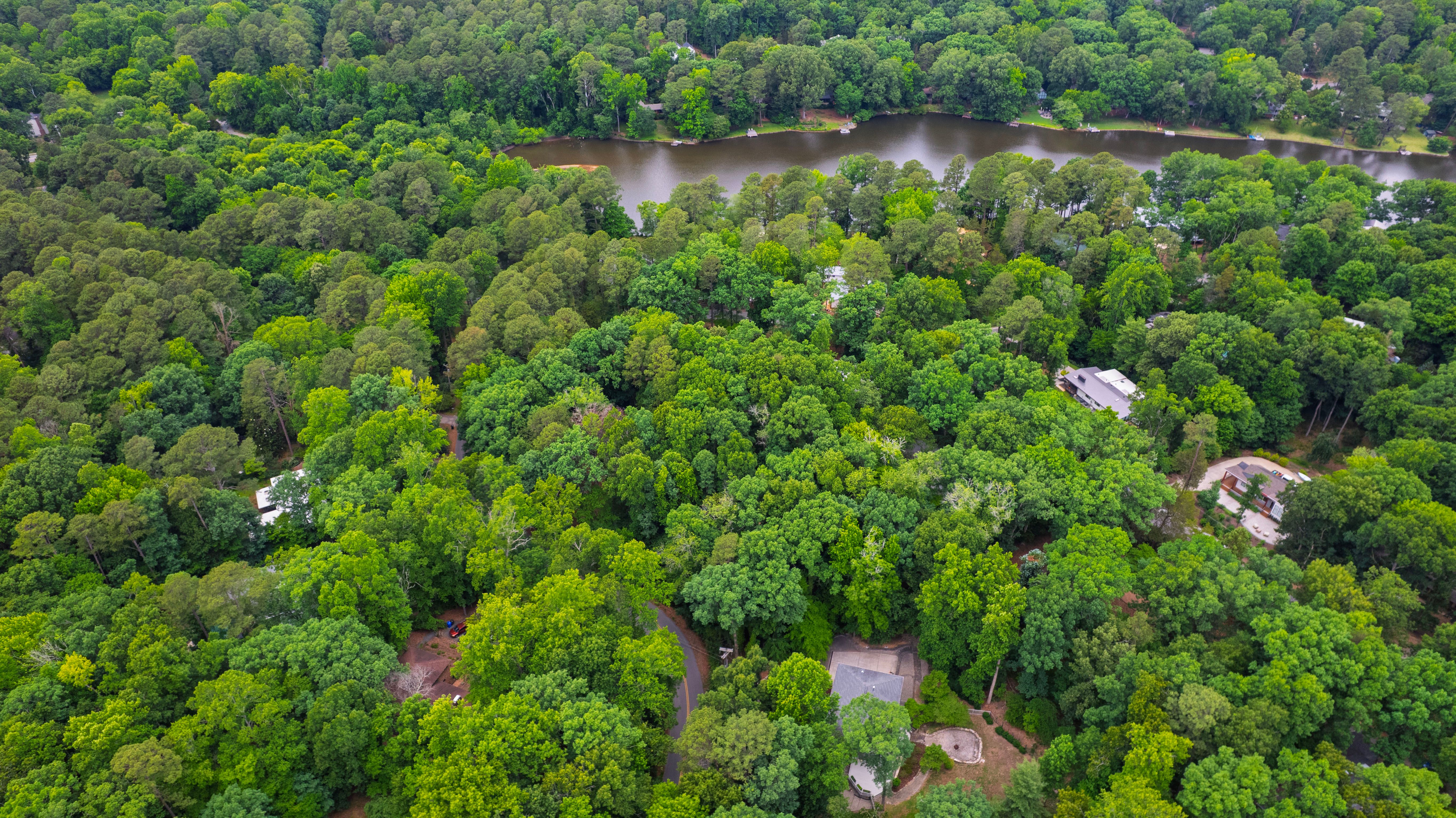  321 Woodhaven Road, Chapel Hill, NC 27514 - 物件實景