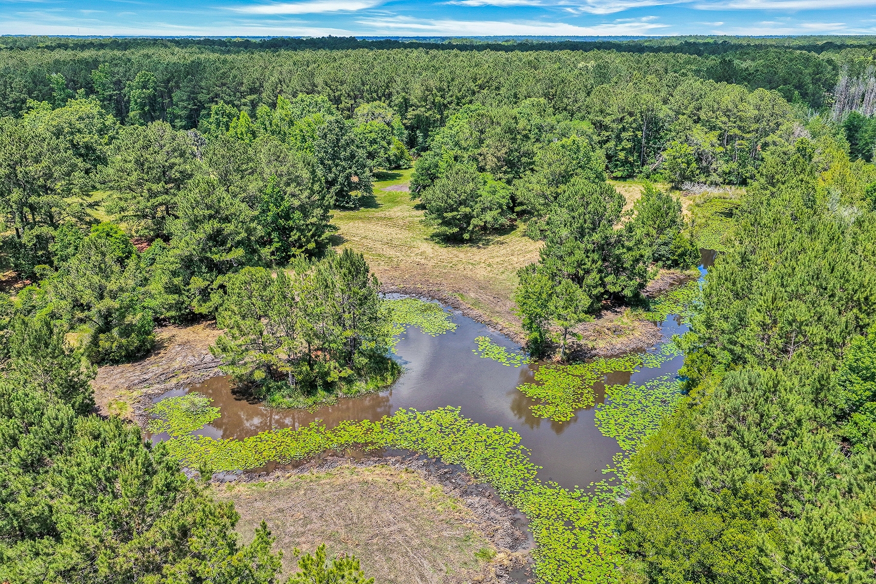  7724 Bees Creek Road, Ridgeland - 物件實景