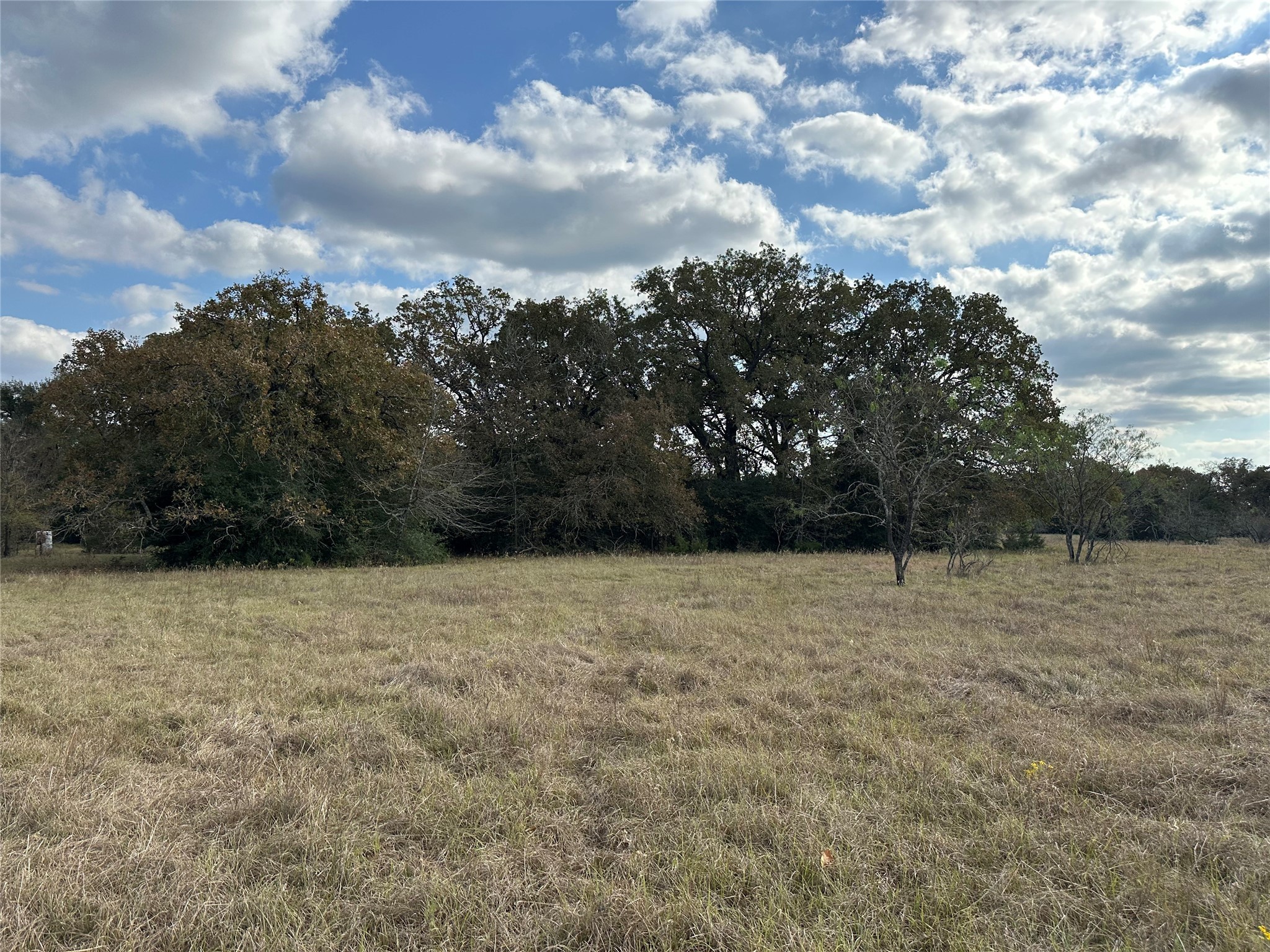Thornton, Texas, 76687, United States, ,Land,For Sale,1995546