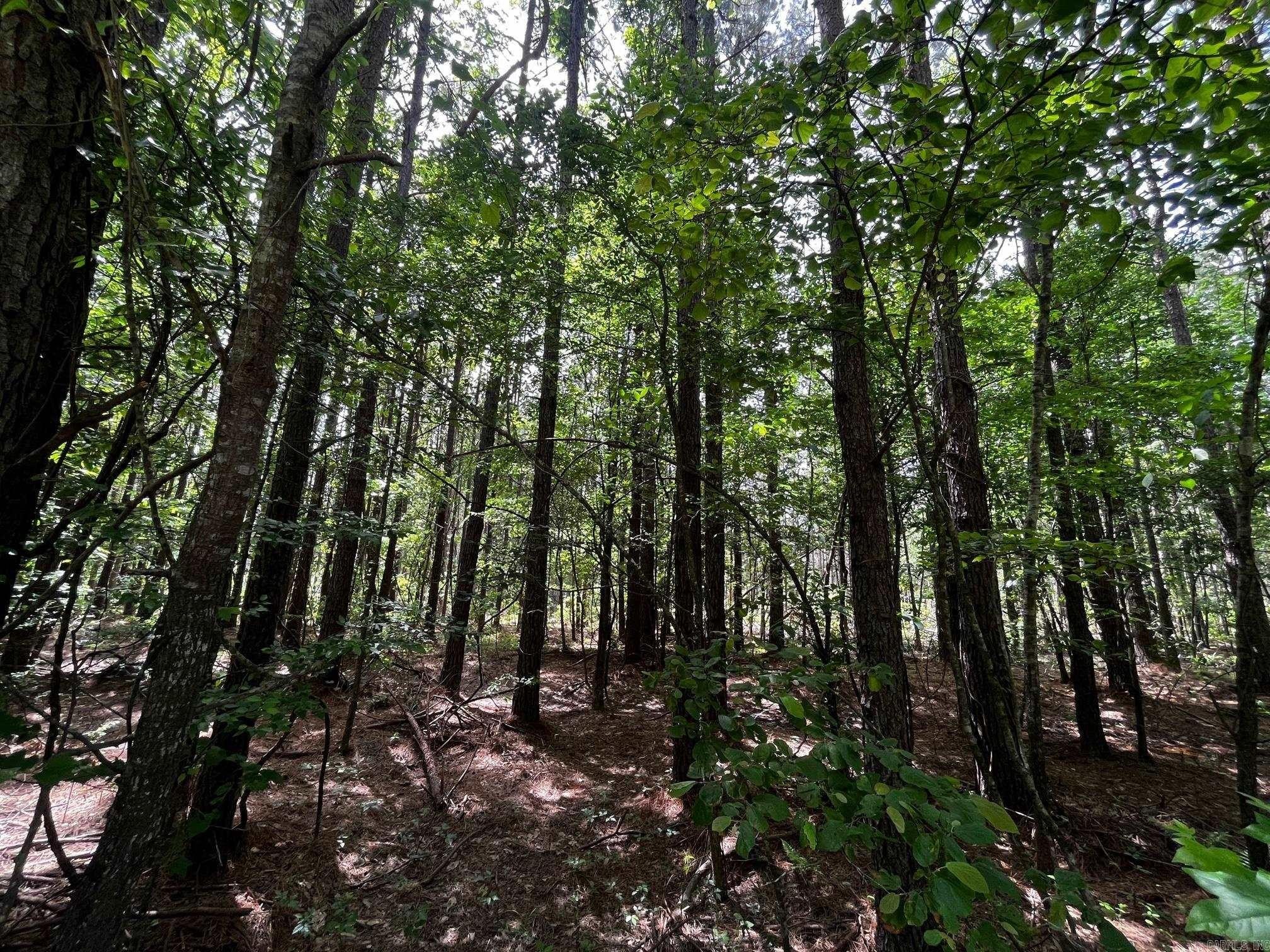 Bauxite, Arkansas, 72011, United States, ,Residential,For Sale,1810569
