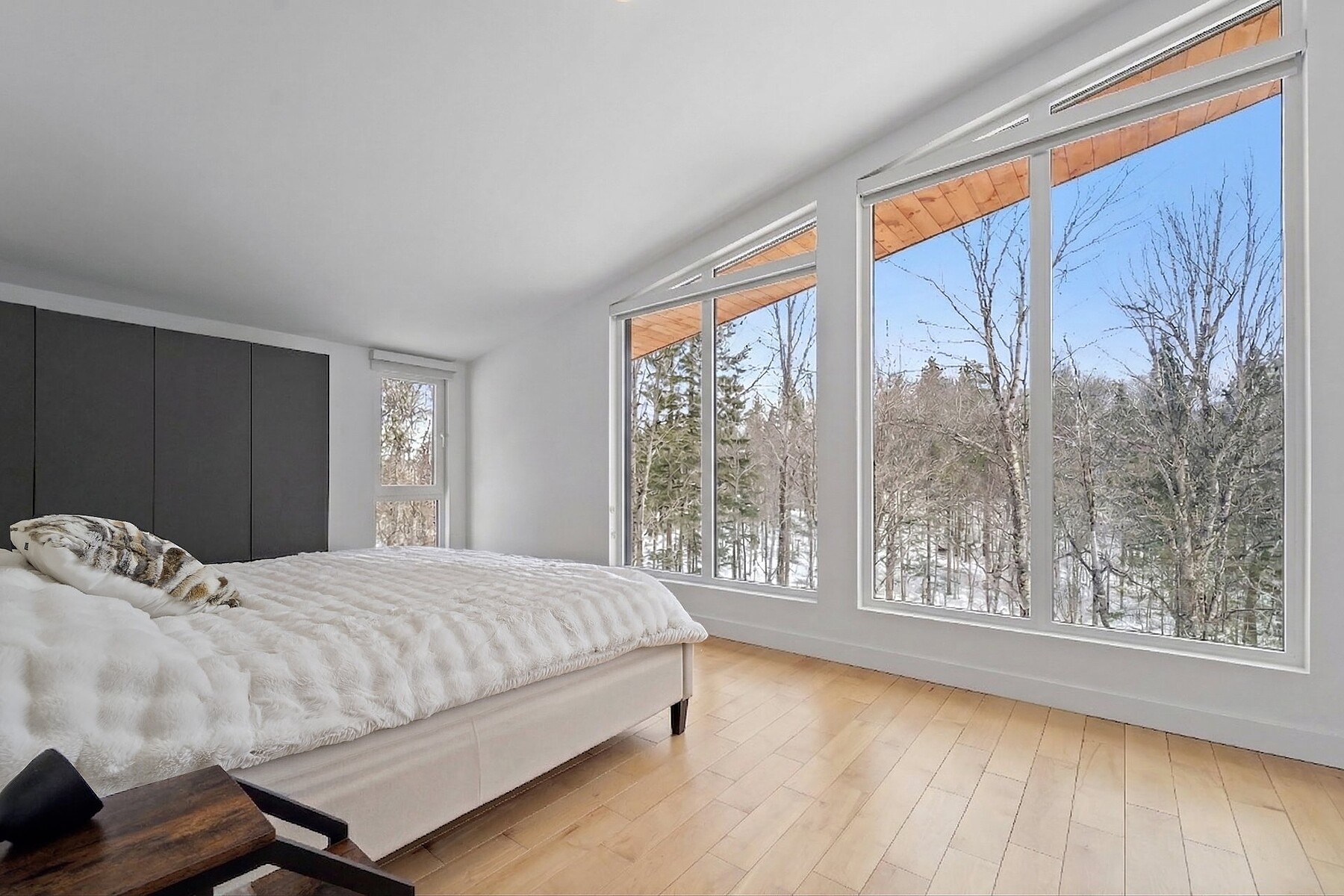  Mont-Blanc, Laurentides - 物件實景