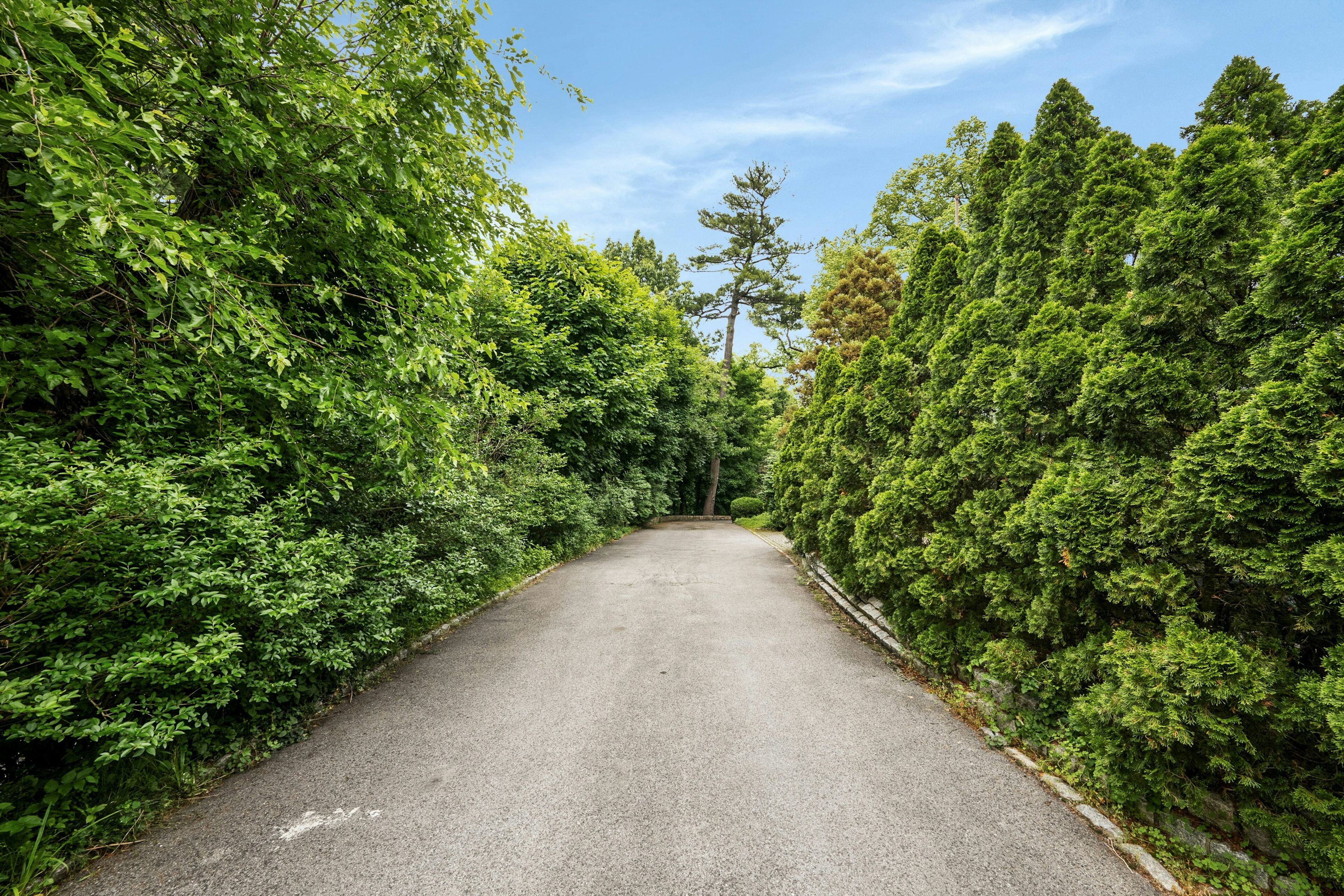  5440 Independence Avenue - 物件實景