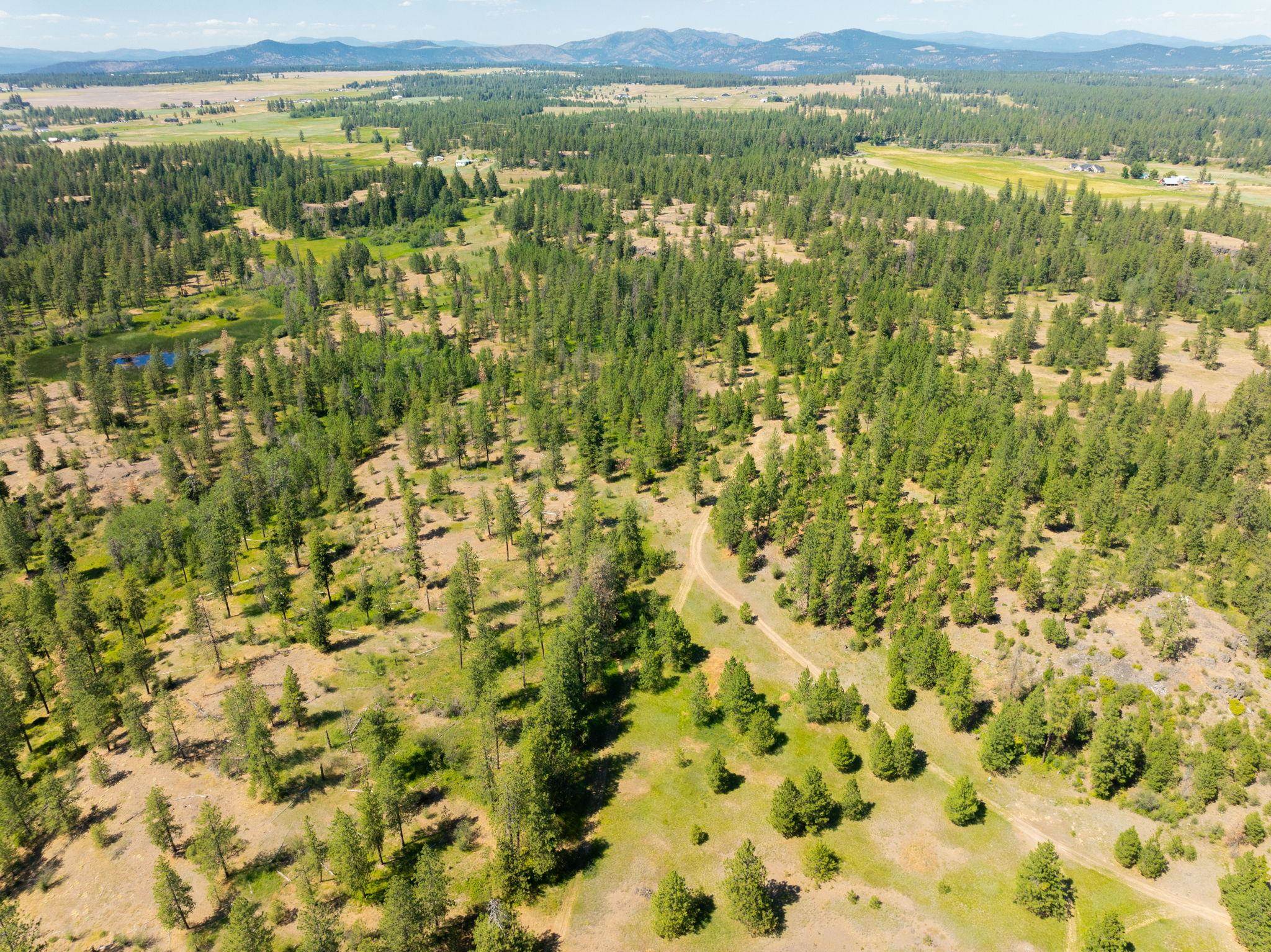 Nine Mile Falls, Washington, 99026, United States, ,Land,For Sale,1960887