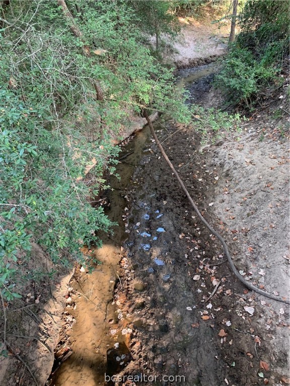 6678 FM 979 E, Franklin, Texas, 77856, United States, ,Land,For Sale,6678 FM 979 E,1123406