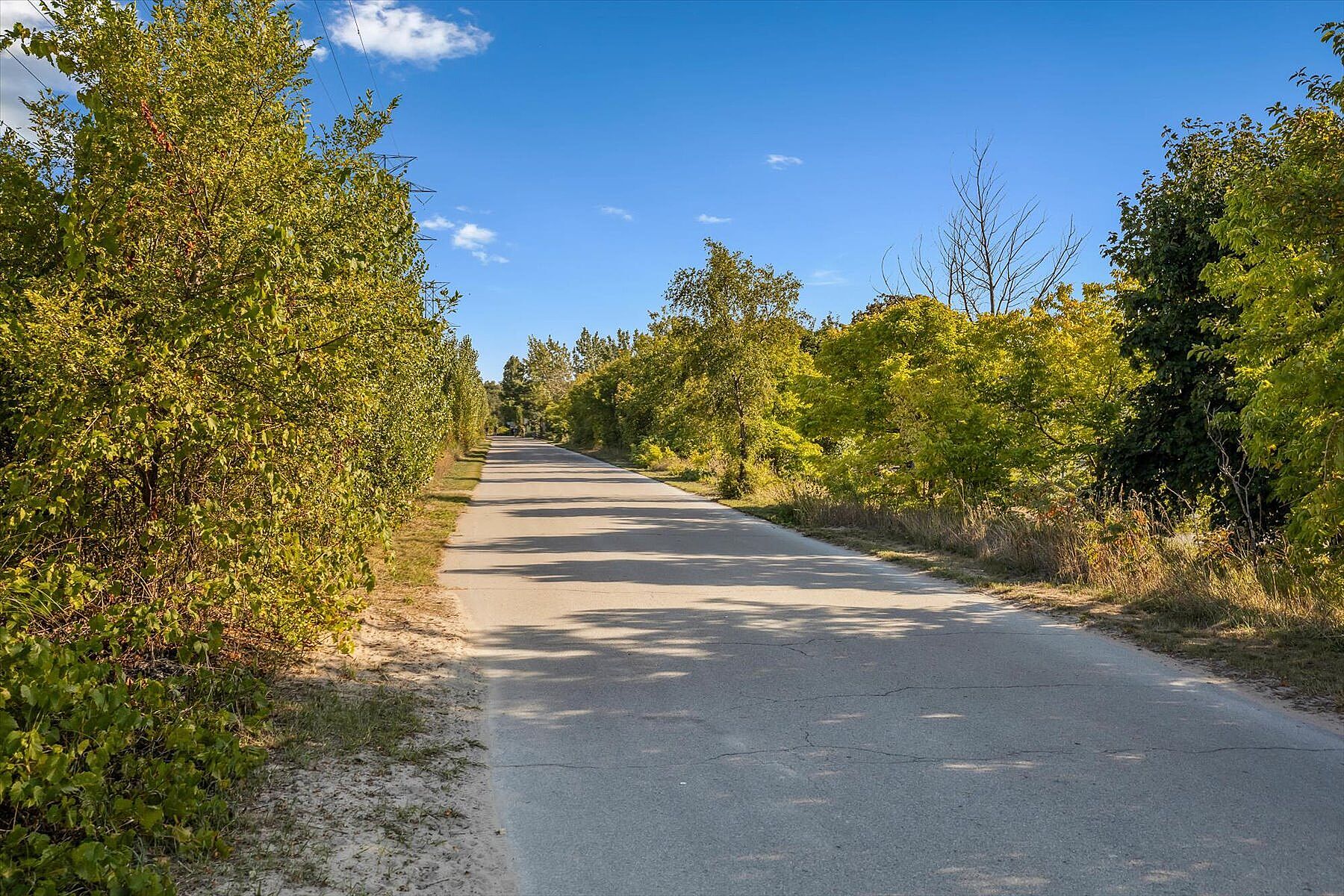  Beachside Living in Hamilton - 物件實景