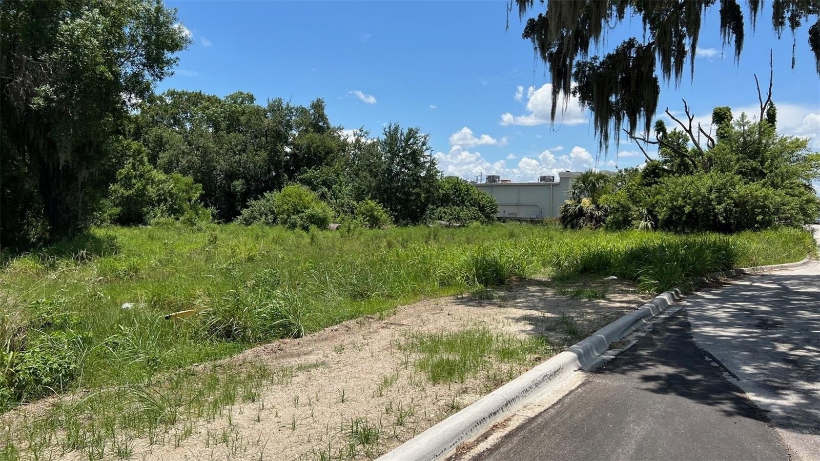 AUBURNDALE, Florida, 33823, United States, ,Land,For Sale,1977523
