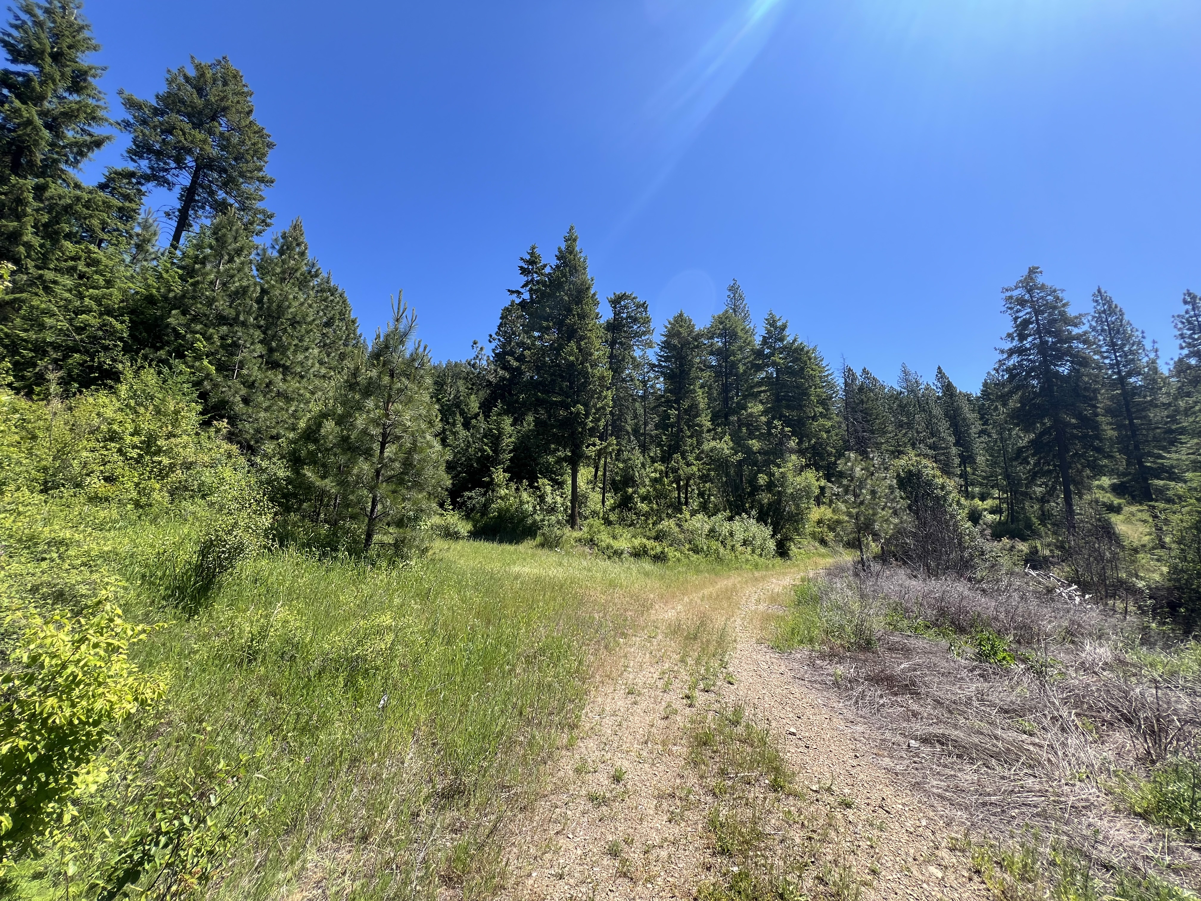 Loon Lake, Washington, 99148, United States, ,Residential,For Sale,1922836