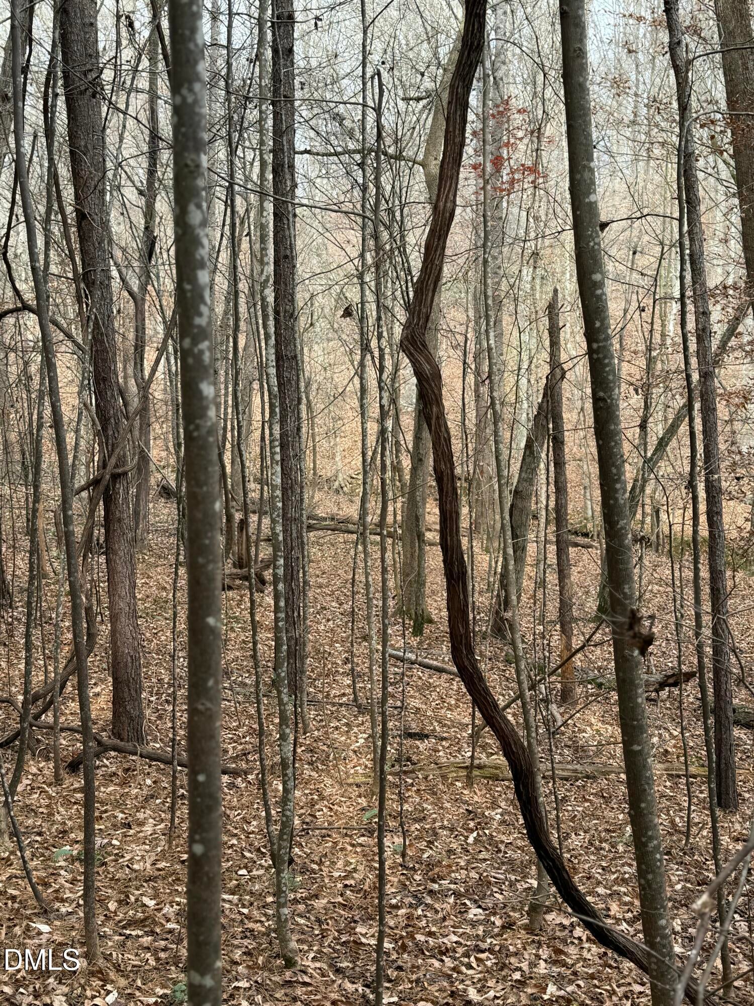 Oxford, North Carolina, 27565, United States, ,Land,For Sale,2000467