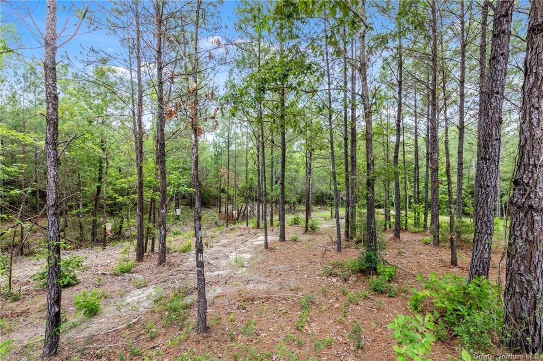 1781 Barham Road, Hornbeck, Louisiana, 71439, United States, 2 Bedrooms Bedrooms, ,2 BathroomsBathrooms,Residential,For Sale,1781 Barham Road,1623067