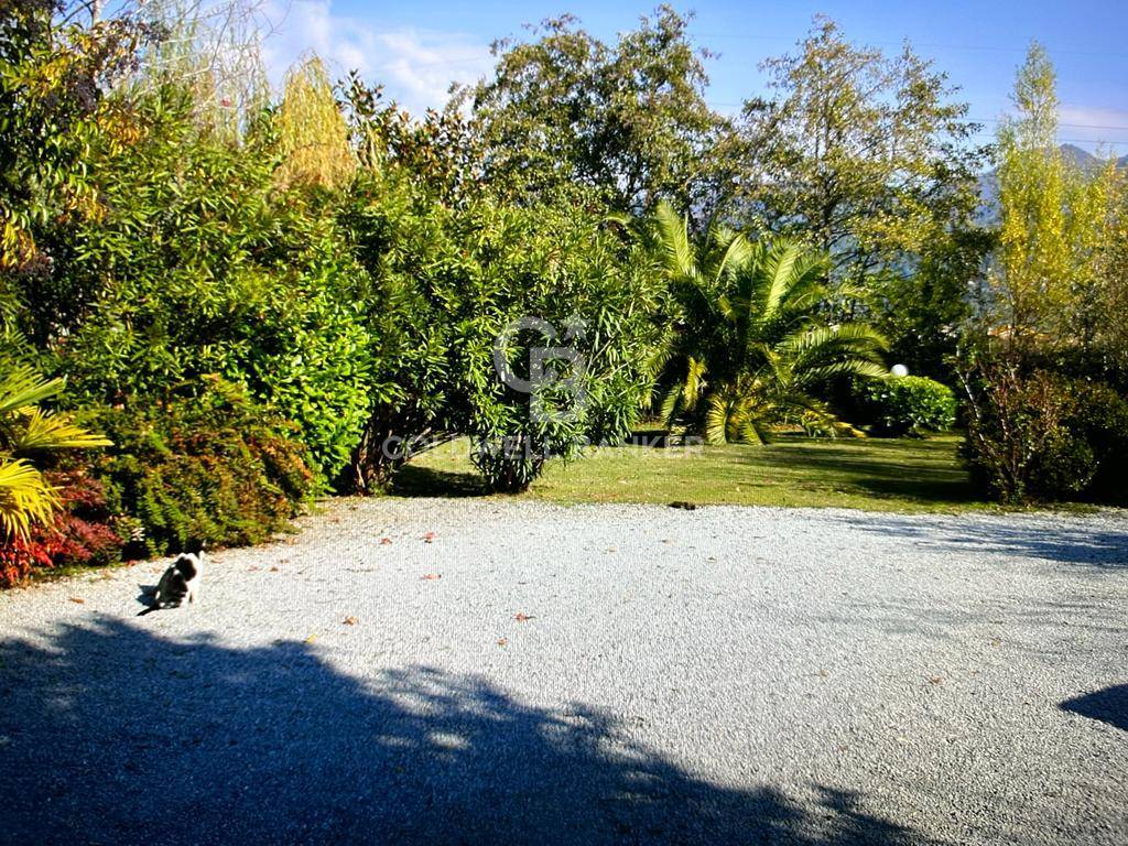 Via Pisanica, Pietrasanta, Lucca, 55045, IT, 3 Bedrooms Bedrooms, ,3 BathroomsBathrooms,Residential,For Sale,Via Pisanica,1610174