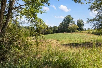 Blairsville, Georgia, 30512, United States, ,Land,For Sale,1933654