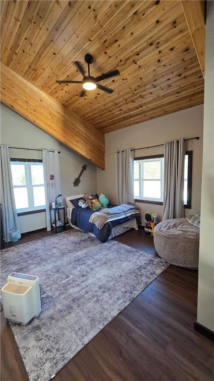Parkers Prairie, Minnesota, 56361, United States, 6 Bedrooms Bedrooms, ,3 BathroomsBathrooms,Residential,For Sale,2026101