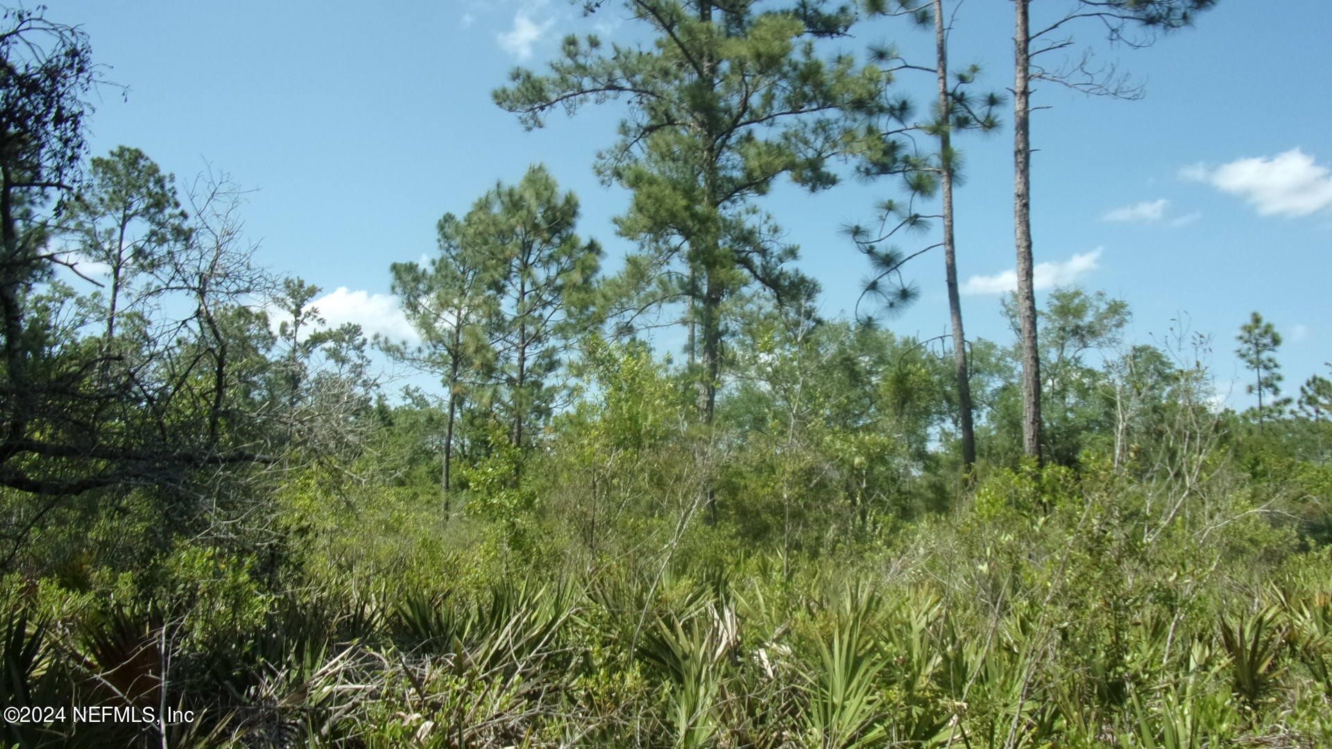Palatka, Florida, 32177, United States, ,Residential,For Sale,1924559