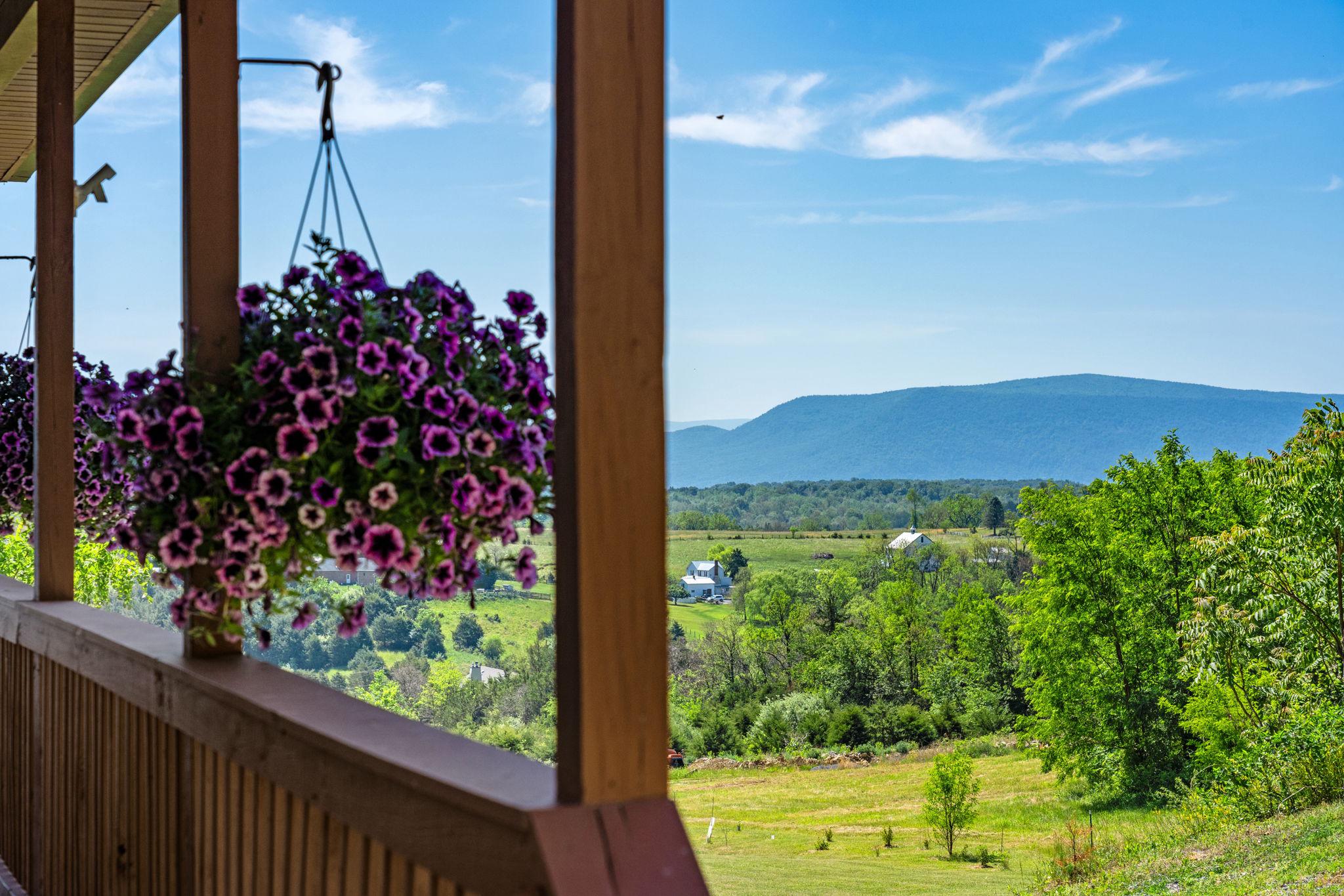  384 Lindamood Lane, Strasburg, VA, 22641 - 物件實景