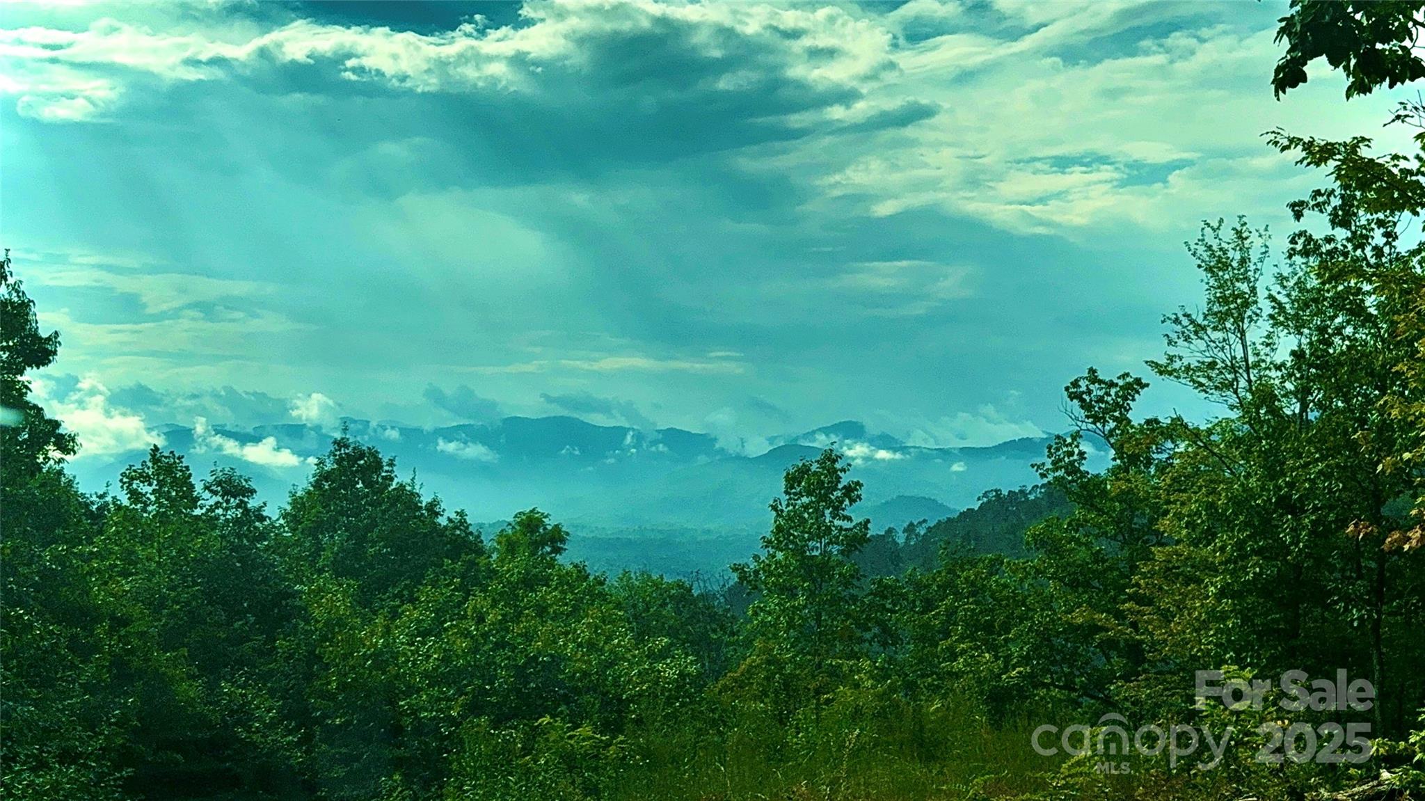 Union Mills, North Carolina, 28167, United States, ,Land,For Sale,2002833