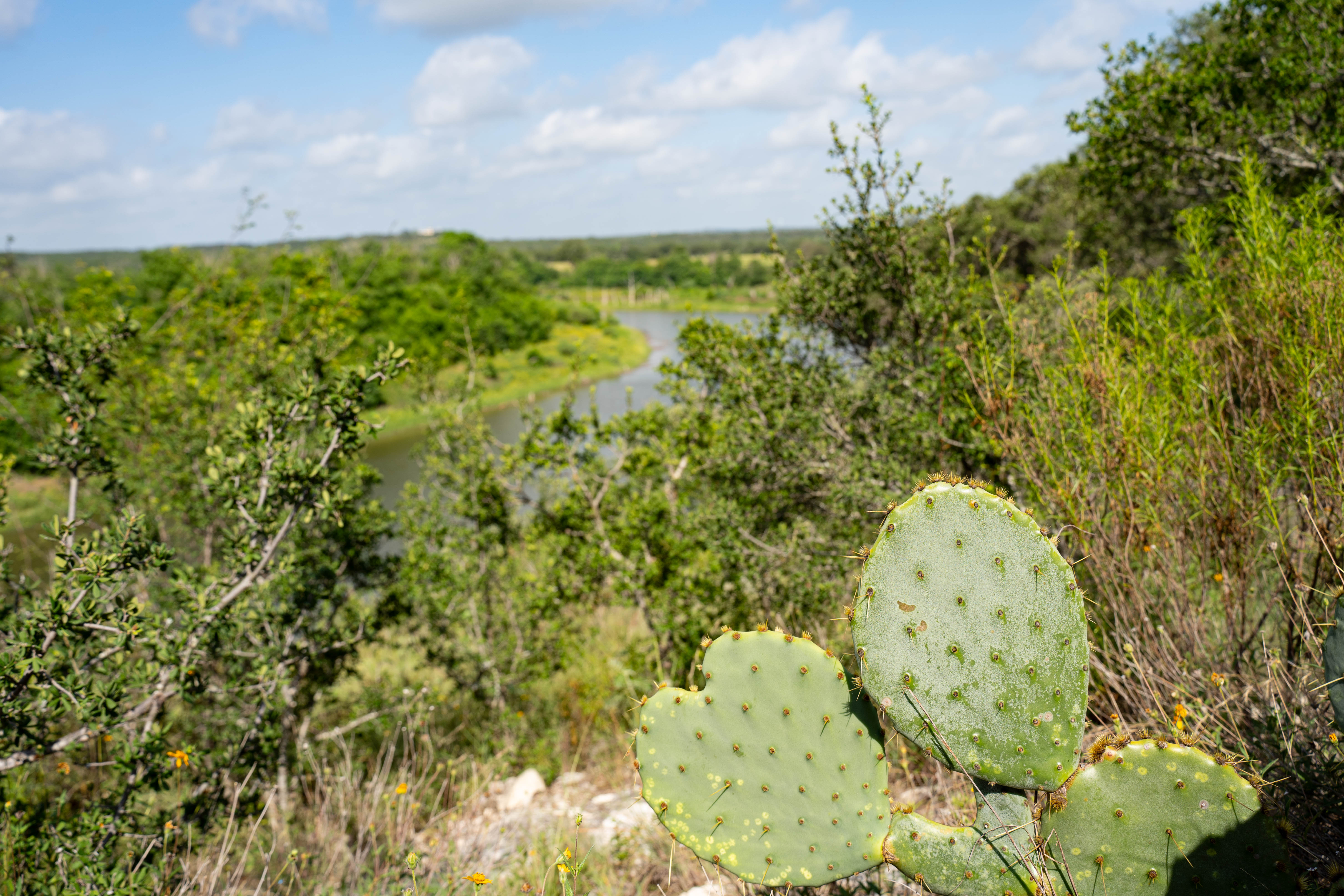  Refined Hill Country Living on the Guadalupe - 物件實景
