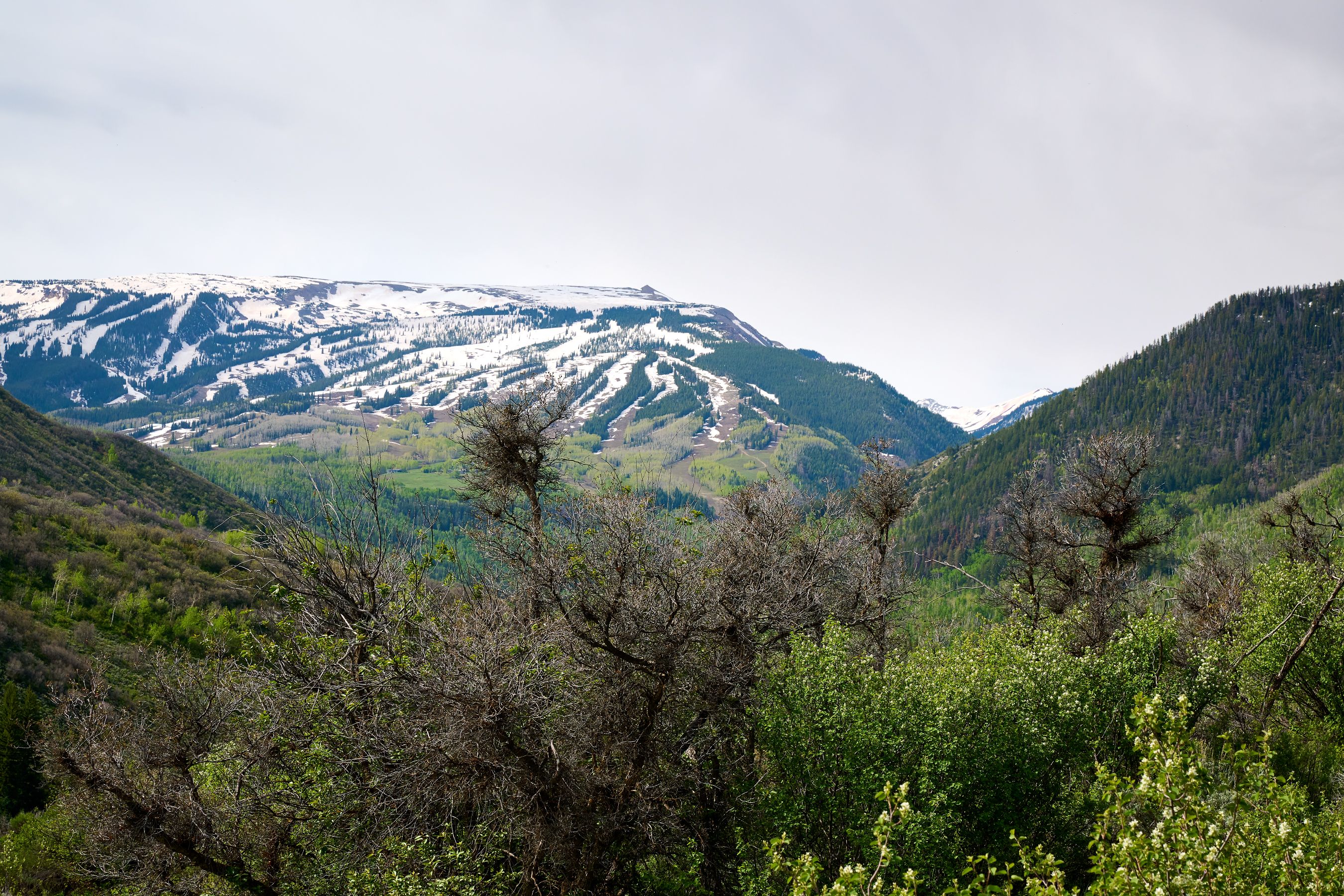  51 Shield O Road, Snowmass, CO, 81654 - 物件實景