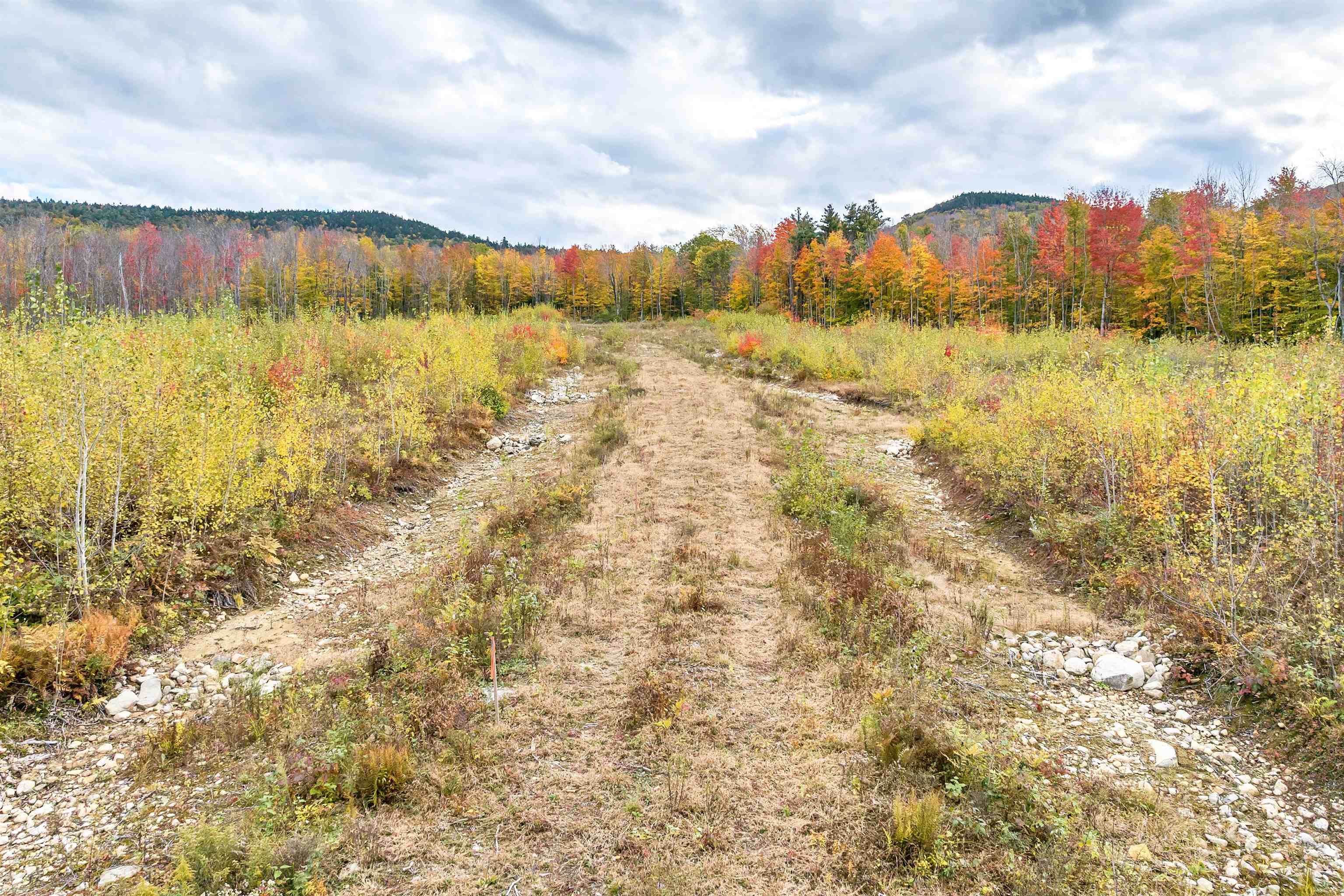 Gilford, New Hampshire, 03249, United States, ,Land,For Sale,1699580