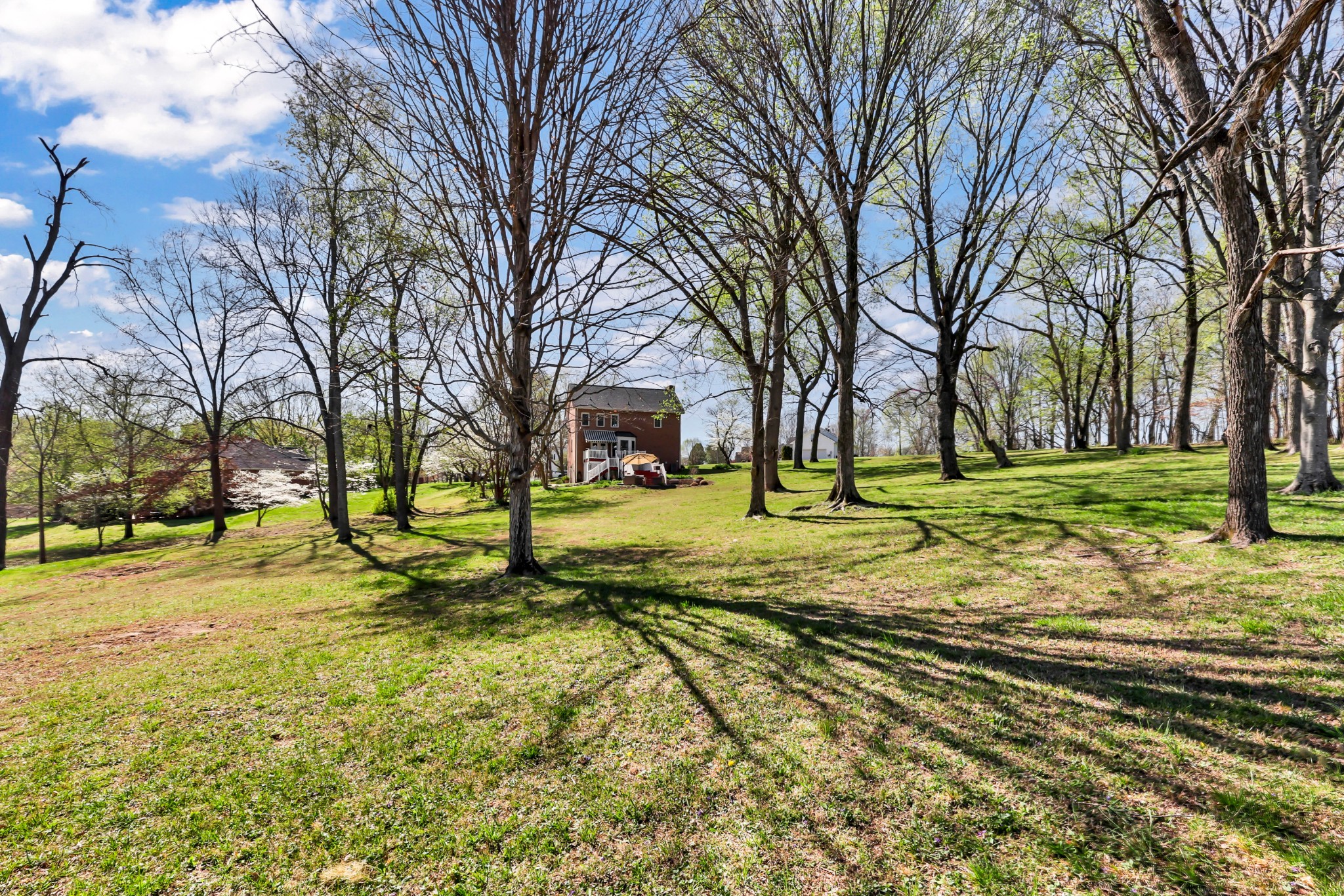 Adams, Tennessee, 37010, United States, 3 Bedrooms Bedrooms, ,3 BathroomsBathrooms,Residential,For Sale,2033502