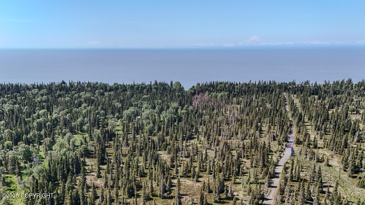 Kasilof, Alaska, 99610, United States, ,Land,For Sale,1975582