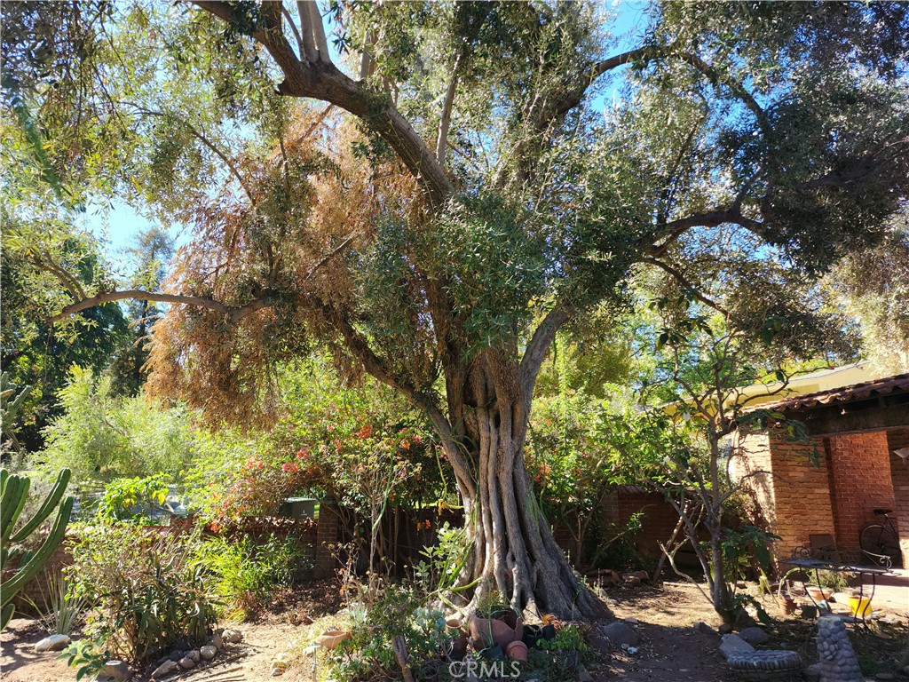 Riverside, California, 92501, United States, 4 Bedrooms Bedrooms, ,2 BathroomsBathrooms,Residential,For Sale,1966223