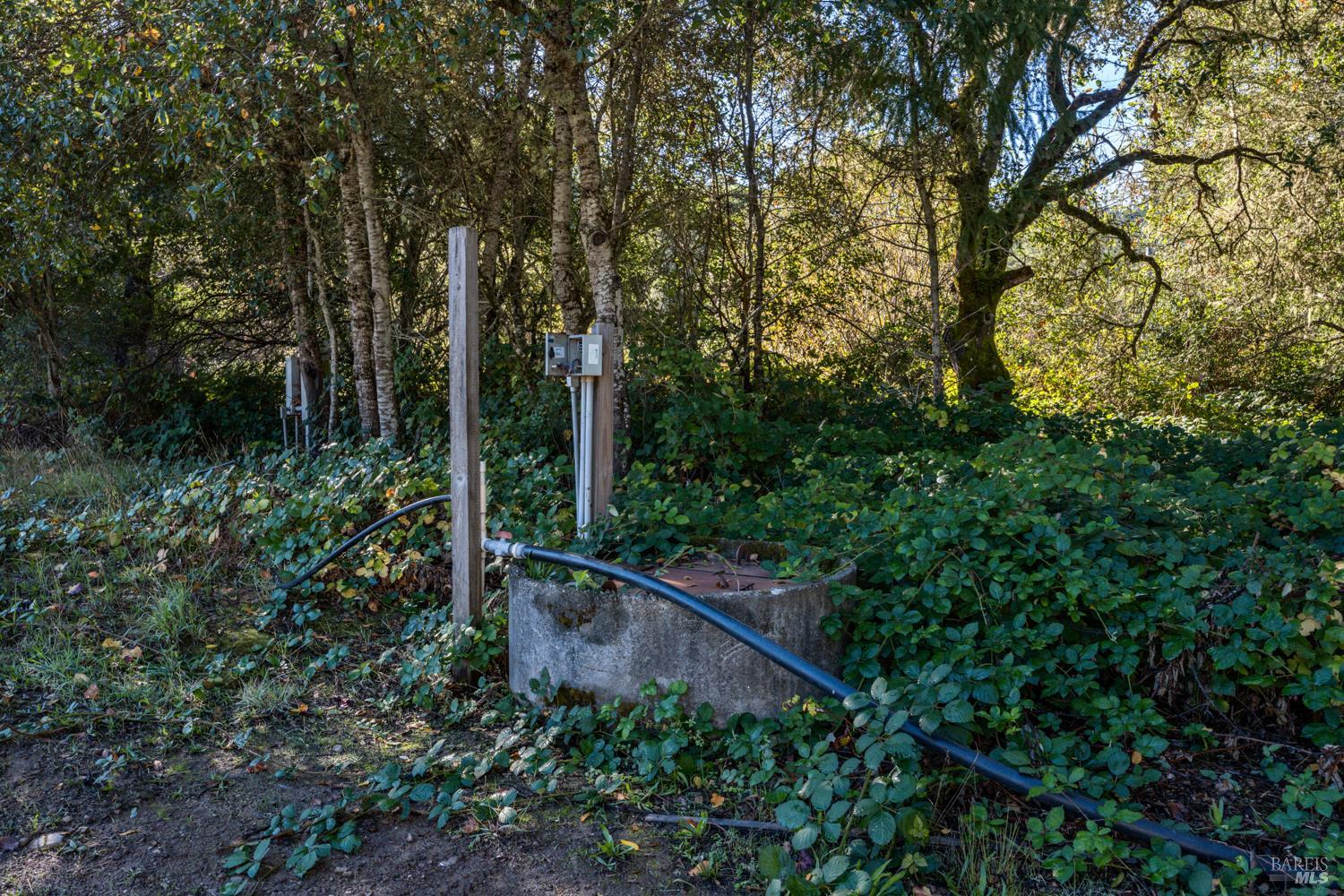 Philo, California, 95466, United States, 3 Bedrooms Bedrooms, ,3 BathroomsBathrooms,Residential,For Sale,1987364