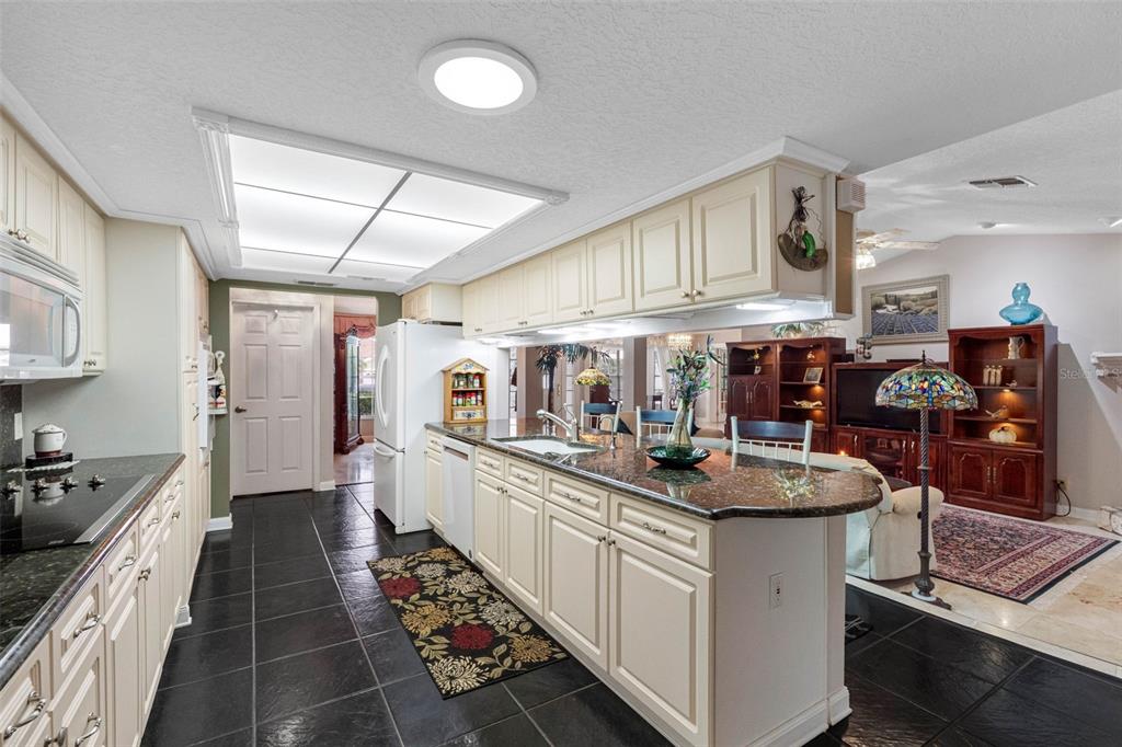 New Port Richey, Florida, 34654, United States, 4 Bedrooms Bedrooms, ,3 BathroomsBathrooms,Residential,For Sale,1963730