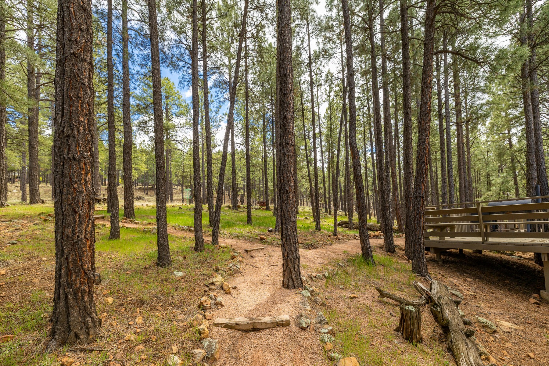  1426 N Edgewood Street¦Flagstaff, AZ - 物件實景