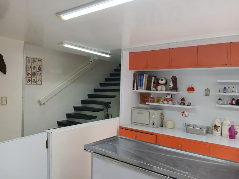 Coyoacán, Ciudad de México, 04200, Mexico, 4 Bedrooms Bedrooms, ,2 BathroomsBathrooms,Residential,For Sale,1916889