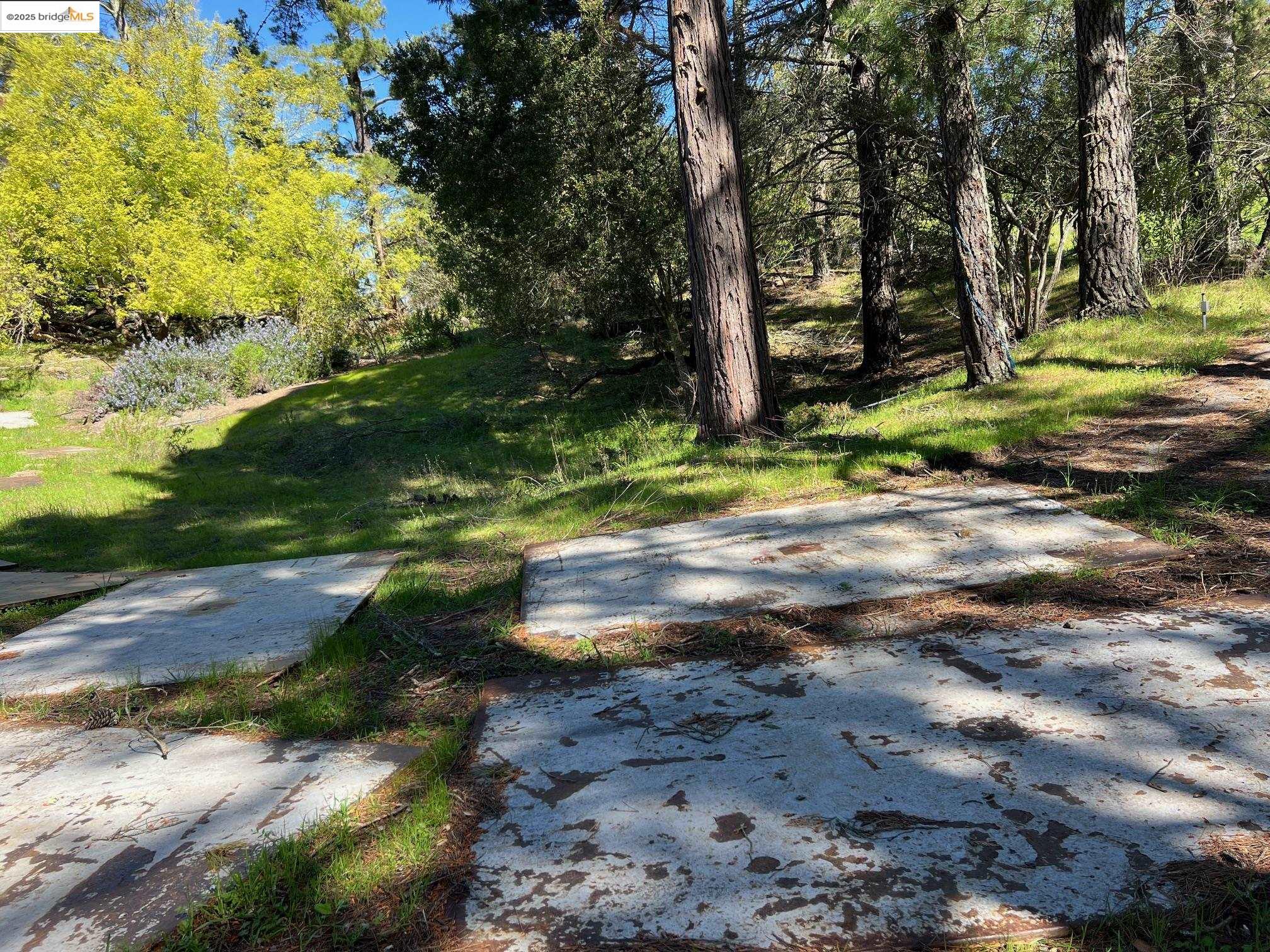 Orinda, California, 94563, United States, ,Land,For Sale,1712940