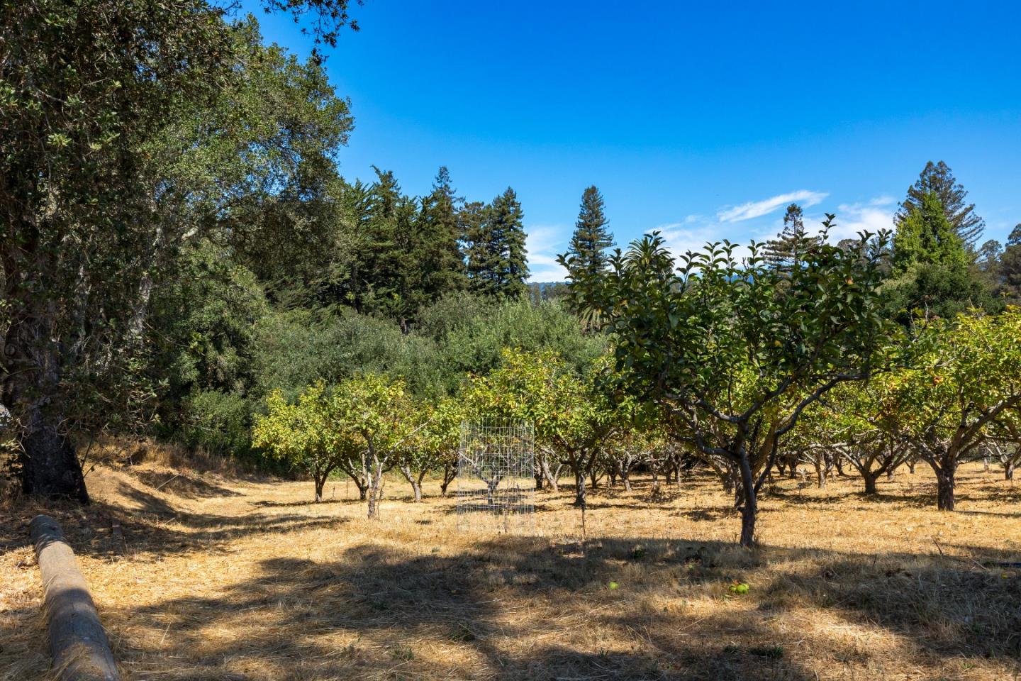 Watsonville, California, 95076, United States, ,Land,For Sale,1942111