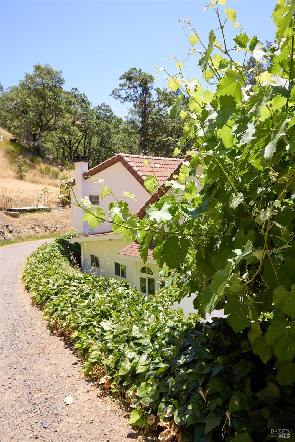 Redwood Valley, California, 95470-8010, United States, 3 Bedrooms Bedrooms, ,2 BathroomsBathrooms,Residential,For Sale,1984443