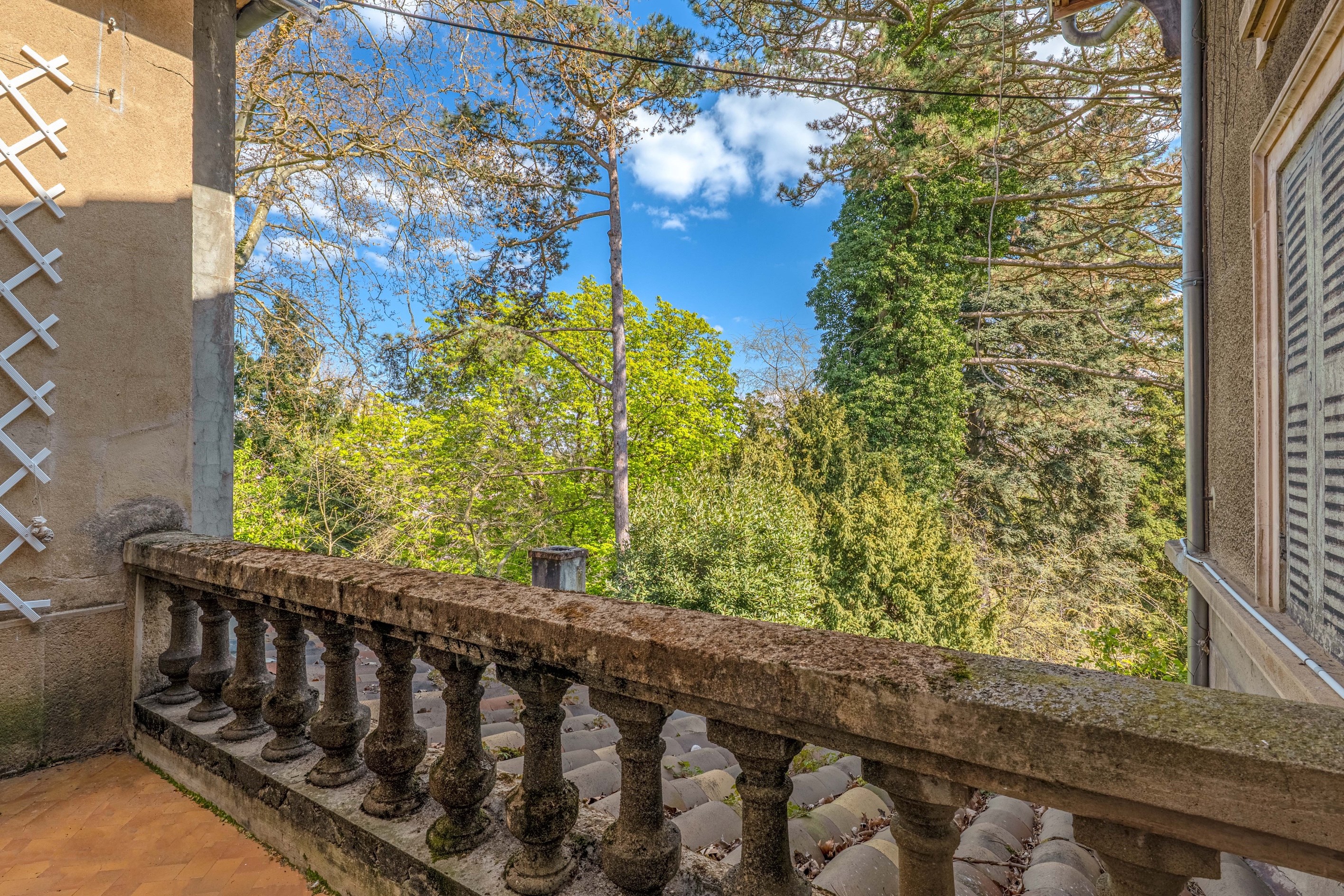  Maison - 物件實景