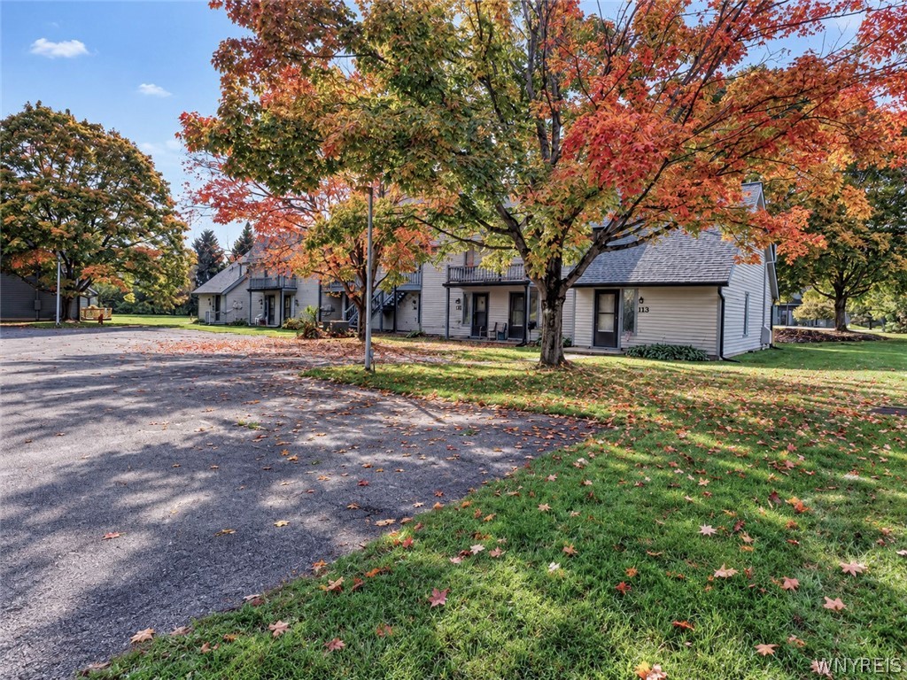 Wildflower , Ellicottville, NY 14731