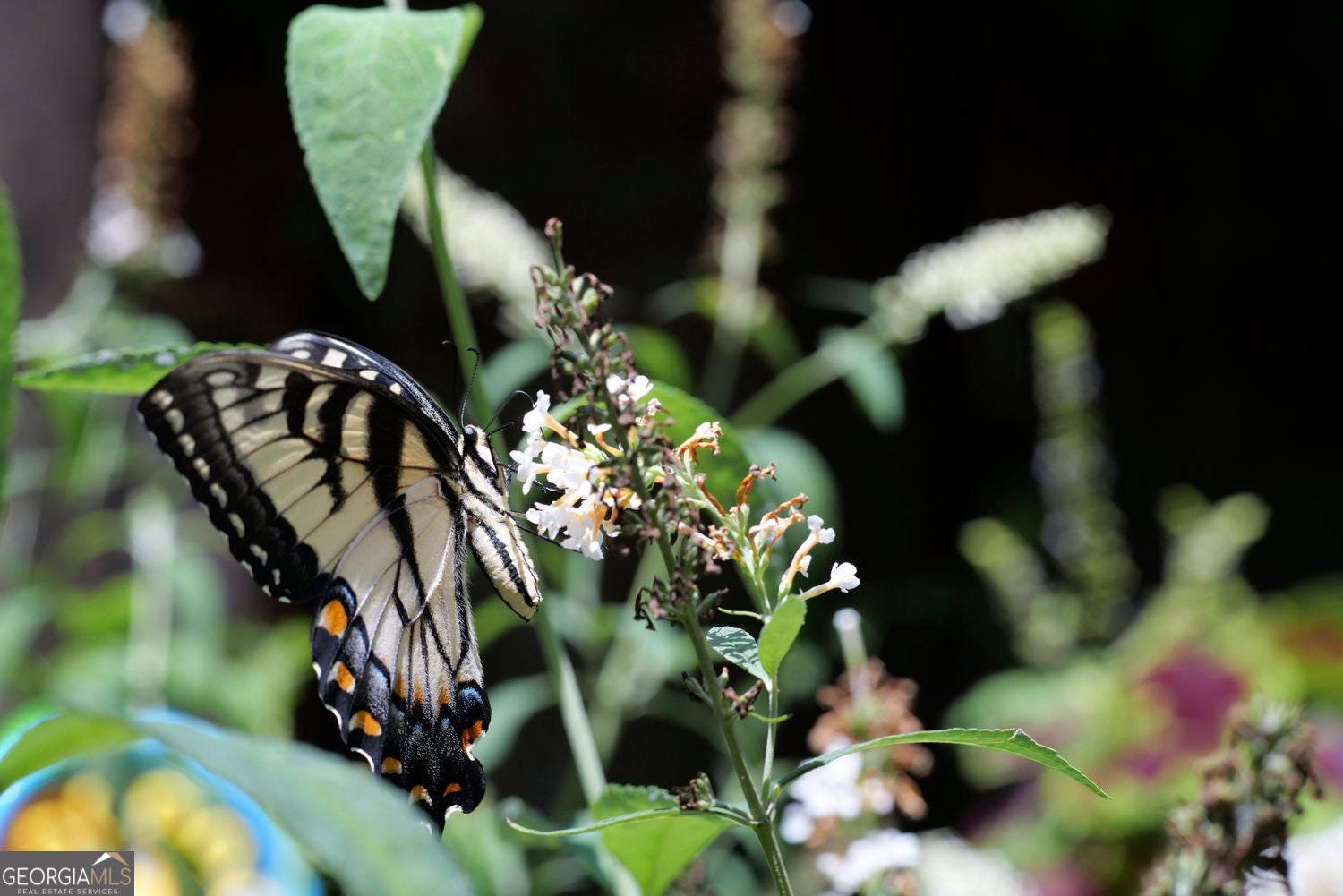 Ellijay, Georgia, 30540, United States, 3 Bedrooms Bedrooms, ,4 BathroomsBathrooms,Residential,For Sale,1952403
