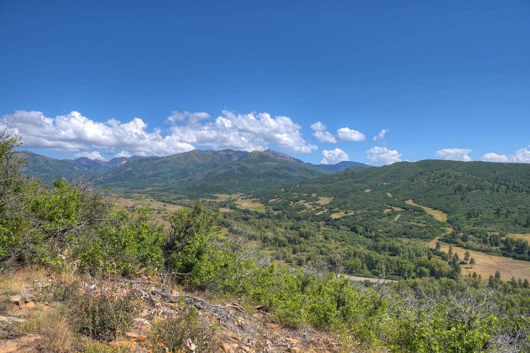  TBD Cross Creek Road, Hesperus, CO 81326 - 物件實景