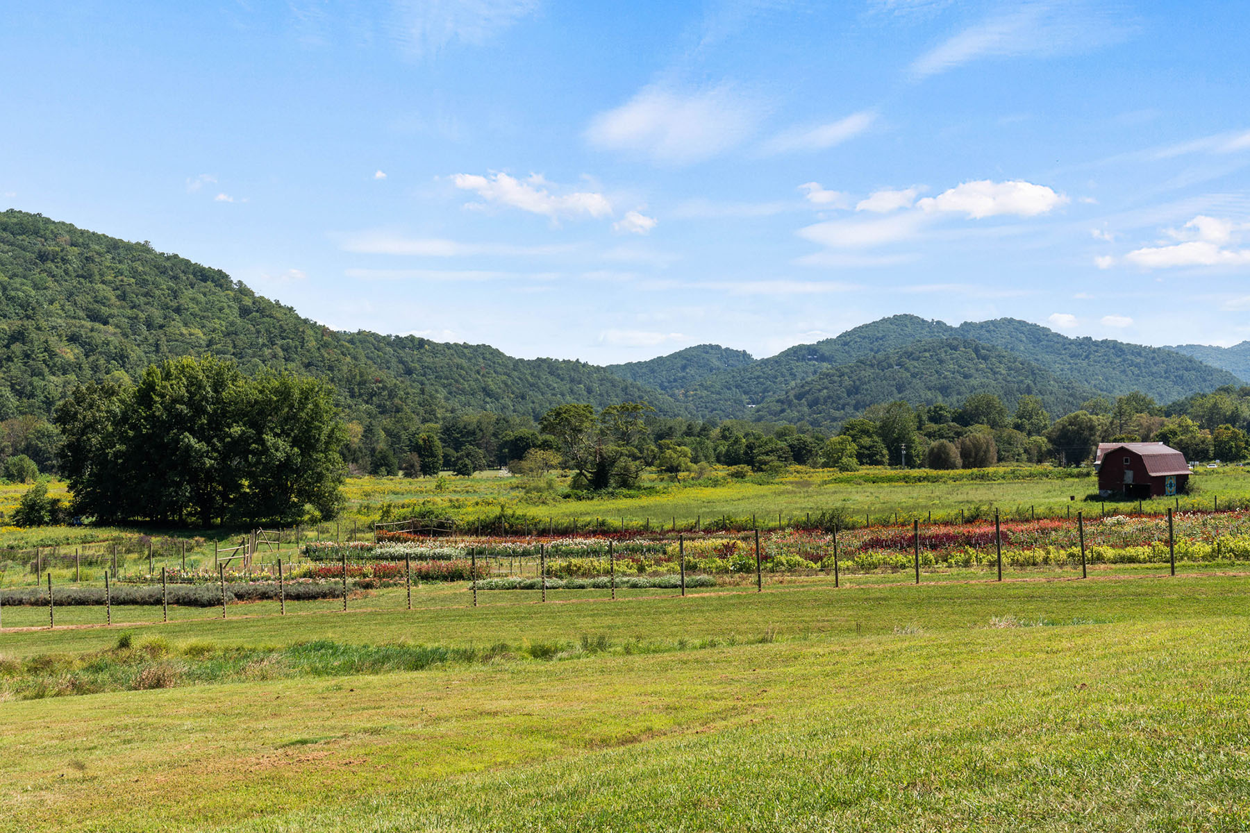  SUGAR GROVE - OLDE BAIRD FARM - 物件實景