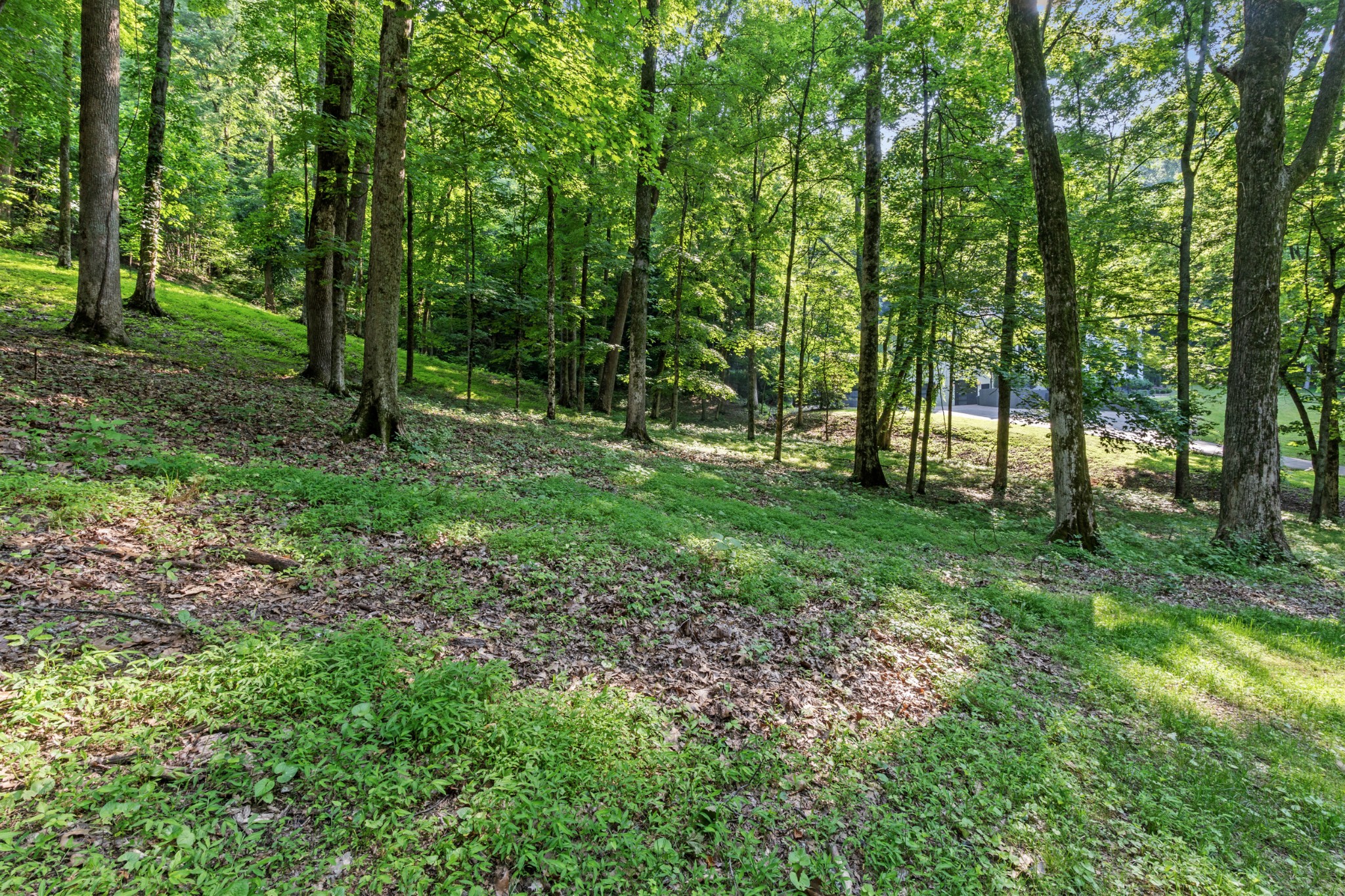 Nashville, Tennessee, 37215, United States, ,Land,For Sale,1846562