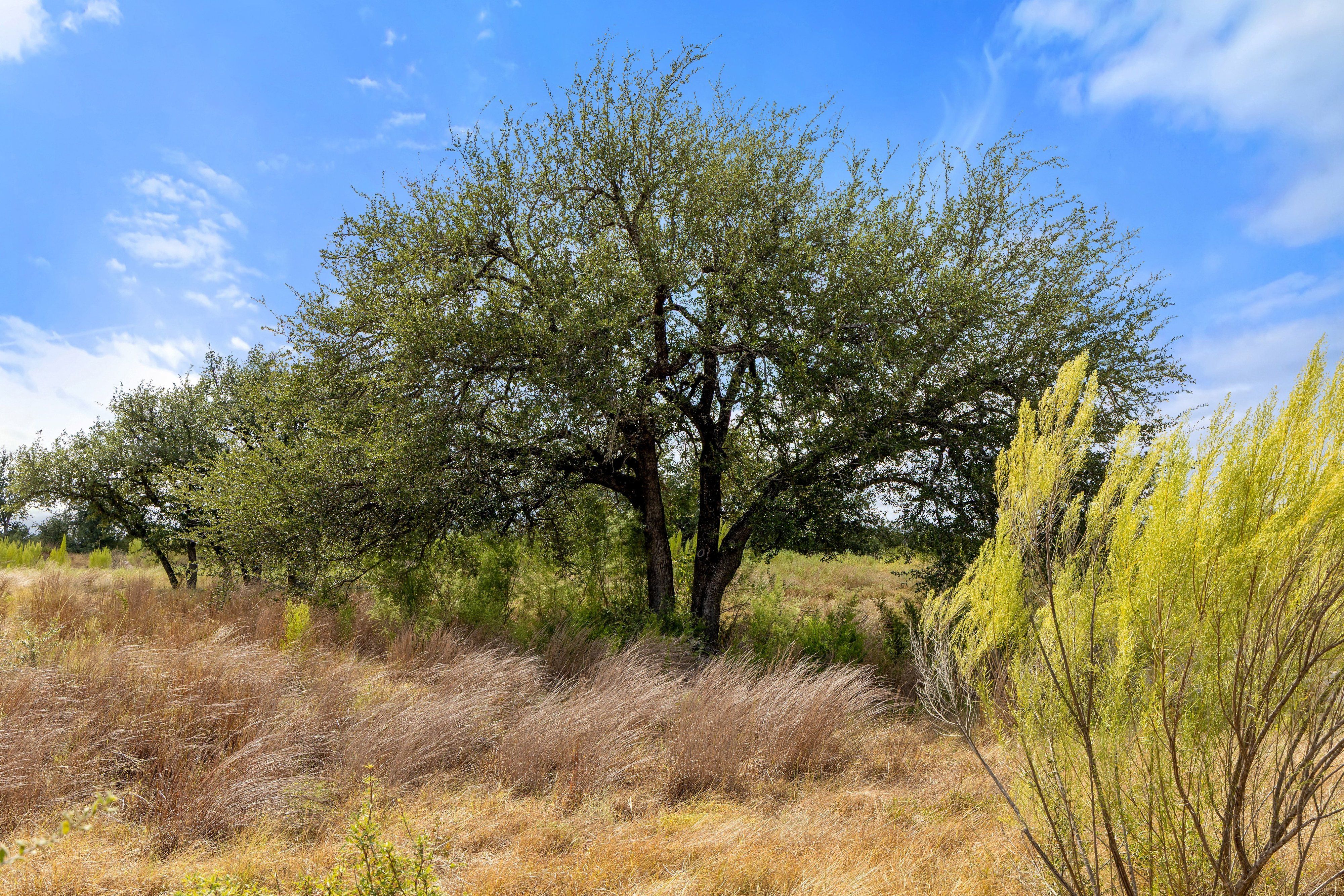  136 Legacy Hills Drive - Stunning 5 acre lot in a luxury gated community - 物件實景