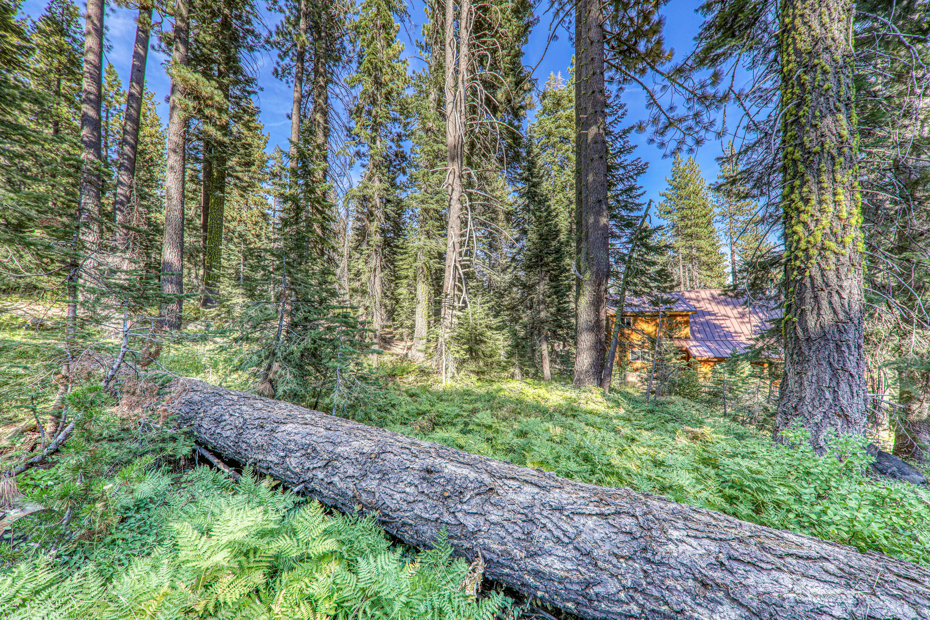  Snowmobilers Paradise - 物件實景