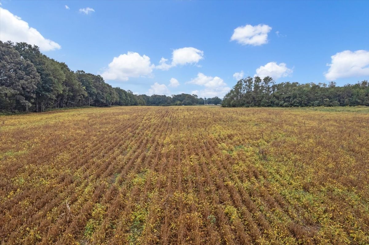 Decherd, Tennessee, 37324, United States, ,Land,For Sale,2016602