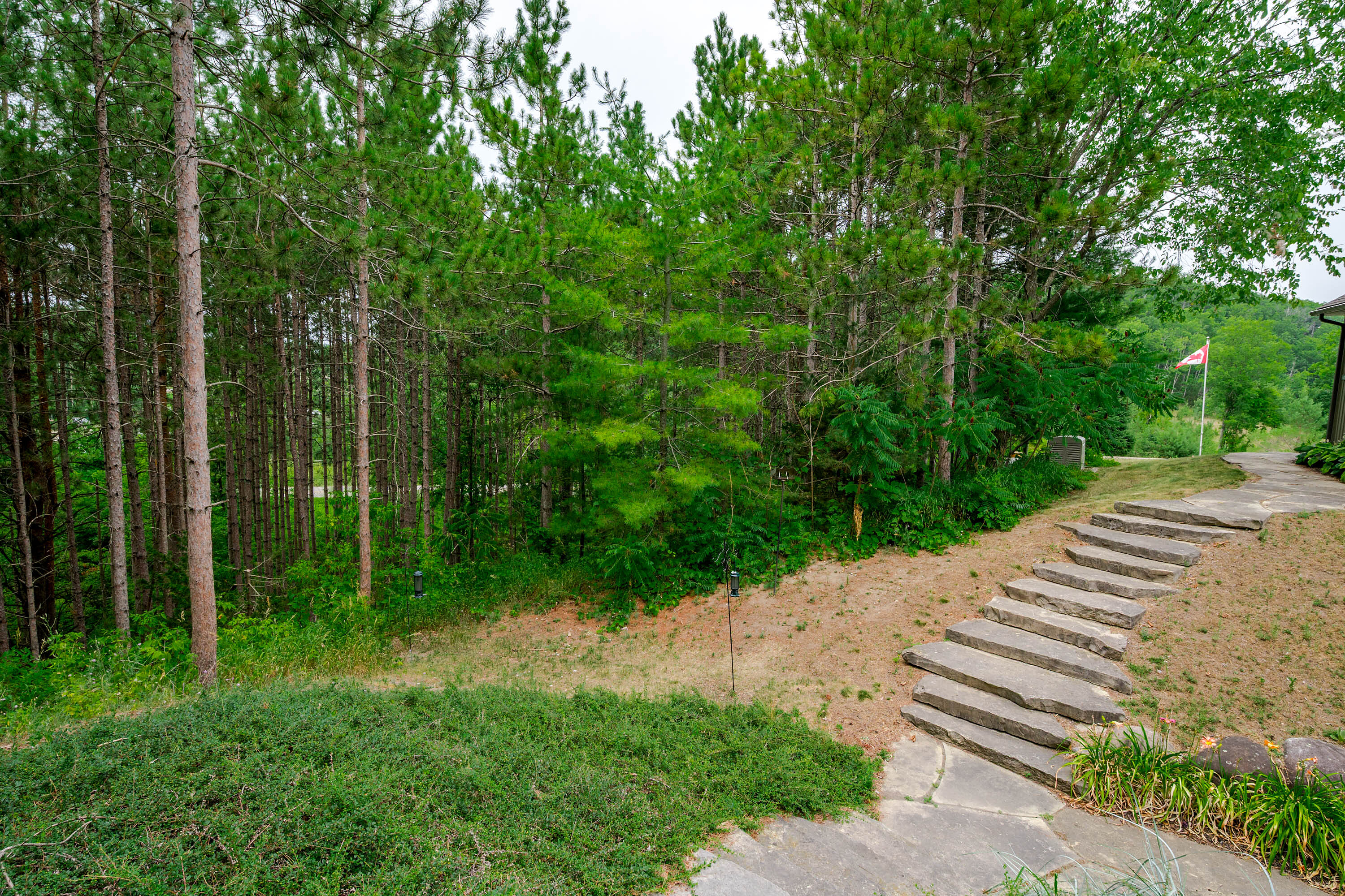  Magic of Warkworth - 物件實景