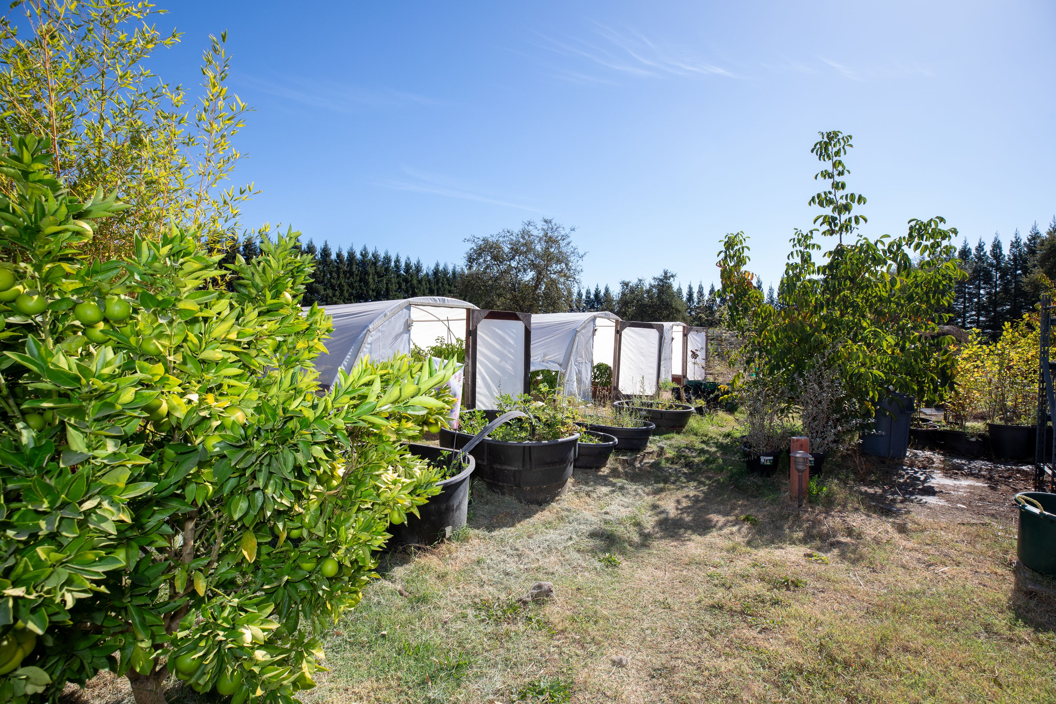  3290 Somers Street, Santa Rosa - 物件實景